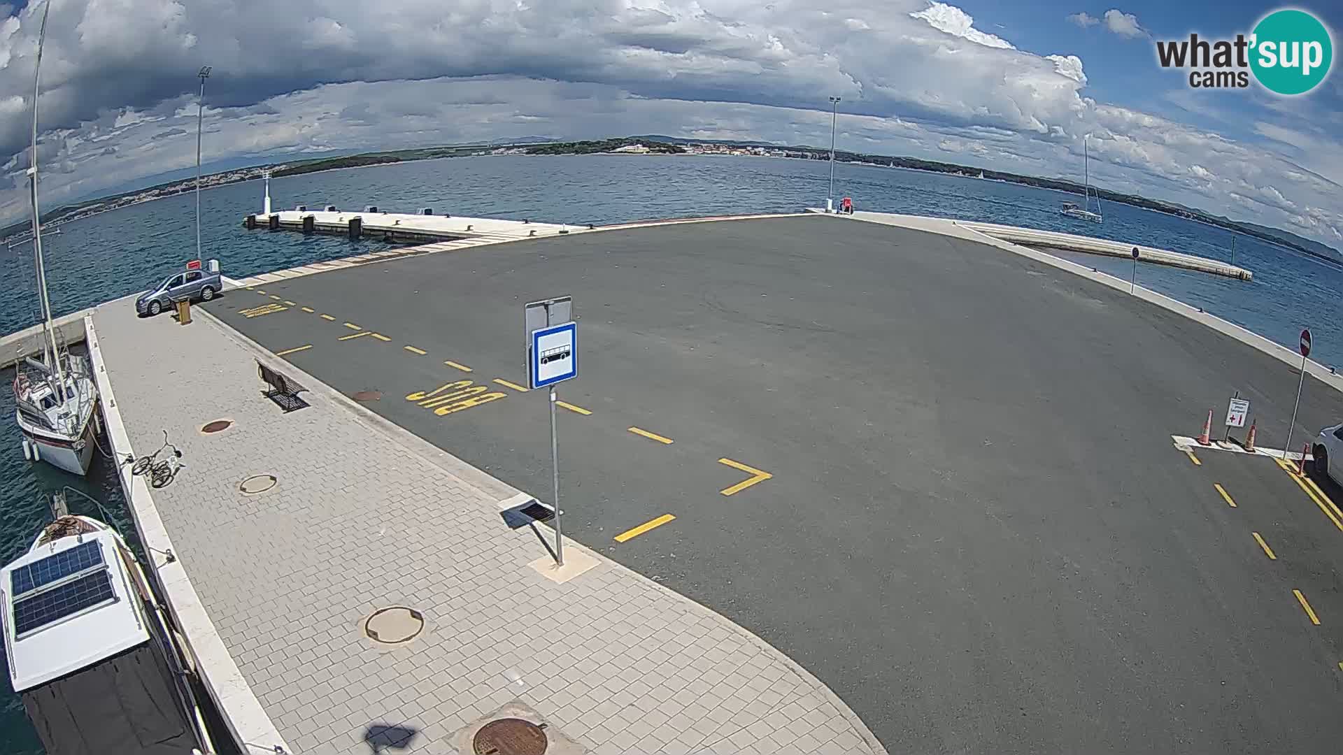 Tkon v živo – trajekt – Dalmacija – Hrvaška