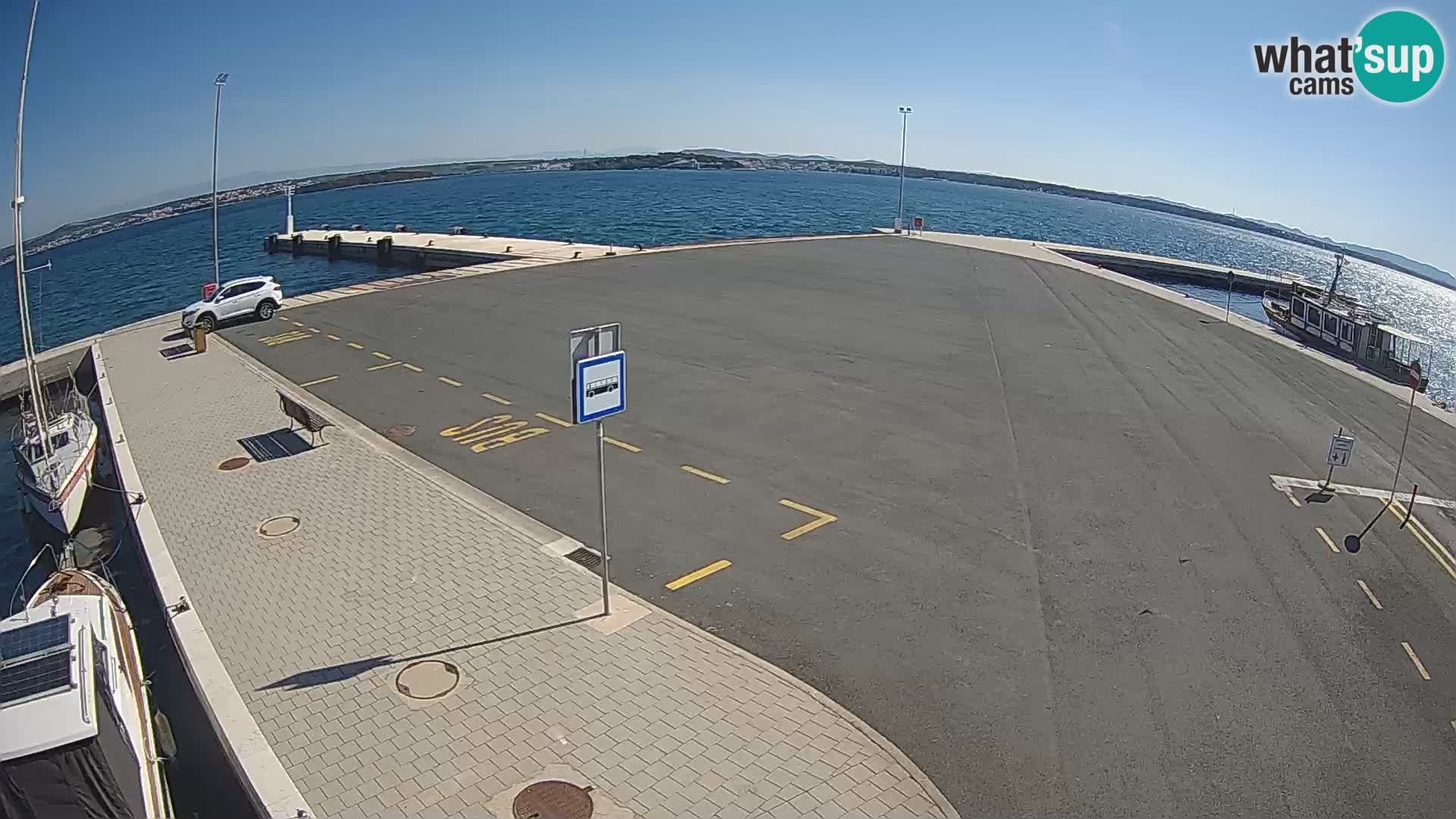 Tkon v živo – trajekt – Dalmacija – Hrvaška