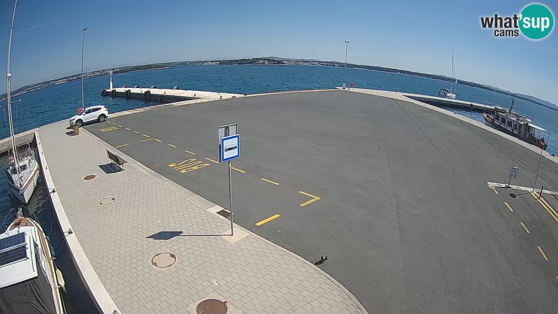 Tkon u živo – trajekt – Dalmacija
