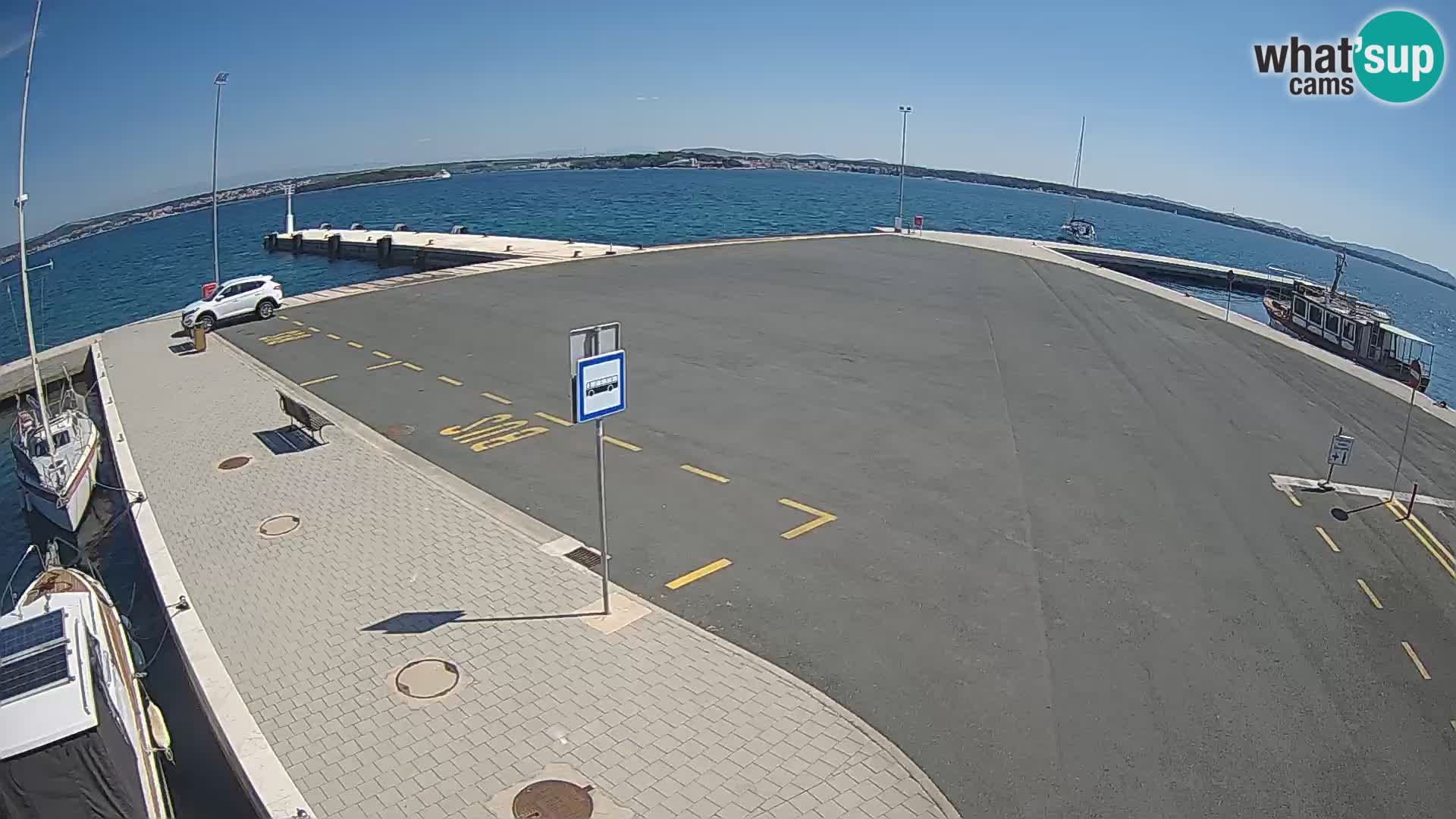 Tkon v živo – trajekt – Dalmacija – Hrvaška