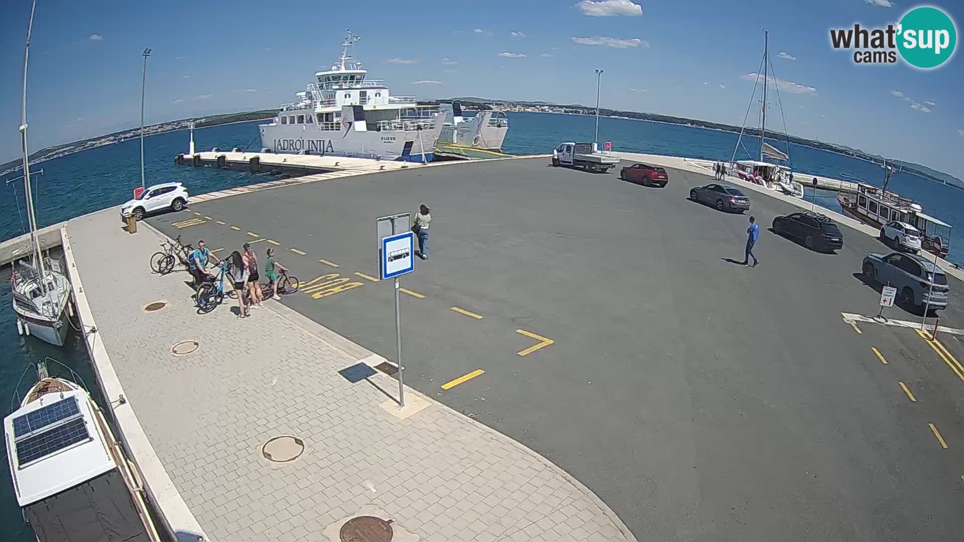 Tkon v živo – trajekt – Dalmacija – Hrvaška