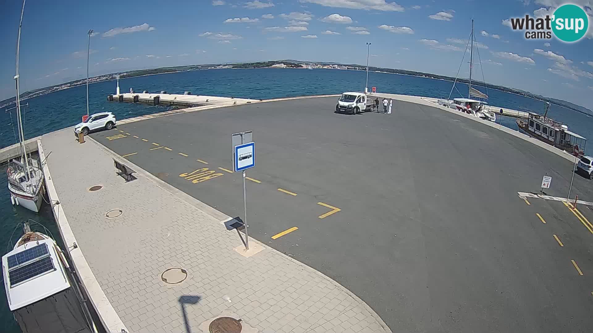 Tkon v živo – trajekt – Dalmacija – Hrvaška