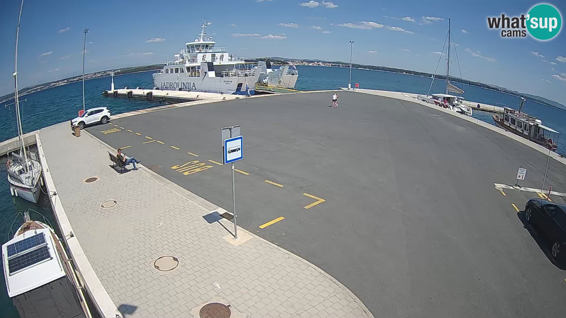 Tkon v živo – trajekt – Dalmacija – Hrvaška