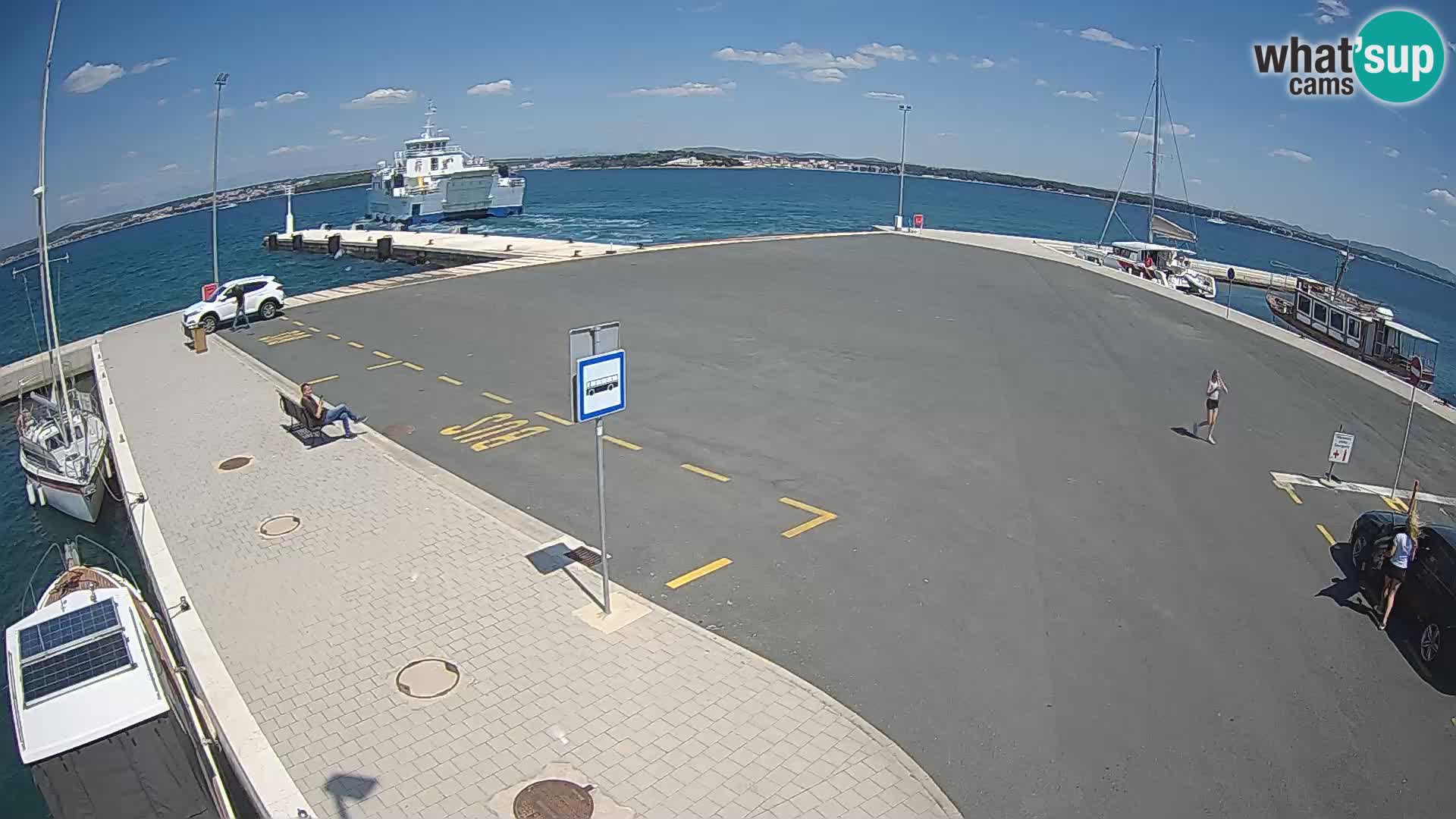 Tkon v živo – trajekt – Dalmacija – Hrvaška