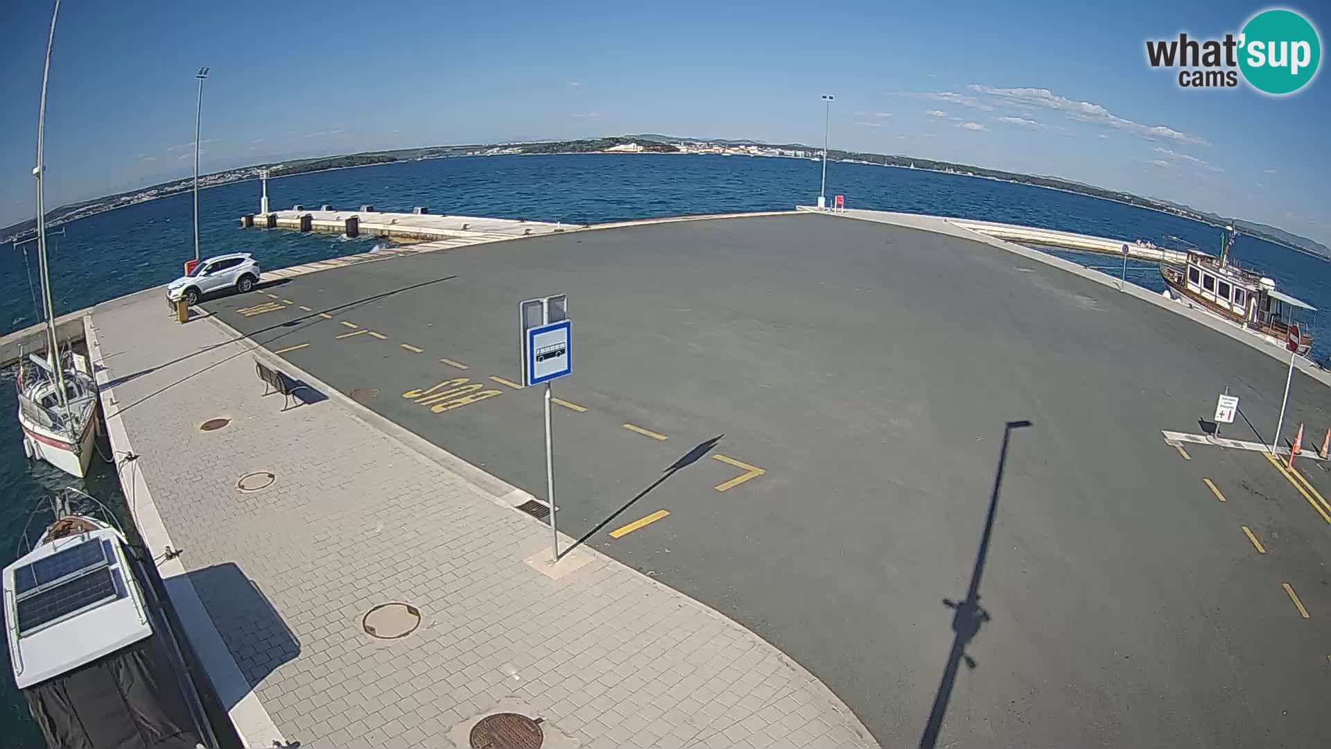 Tkon v živo – trajekt – Dalmacija – Hrvaška
