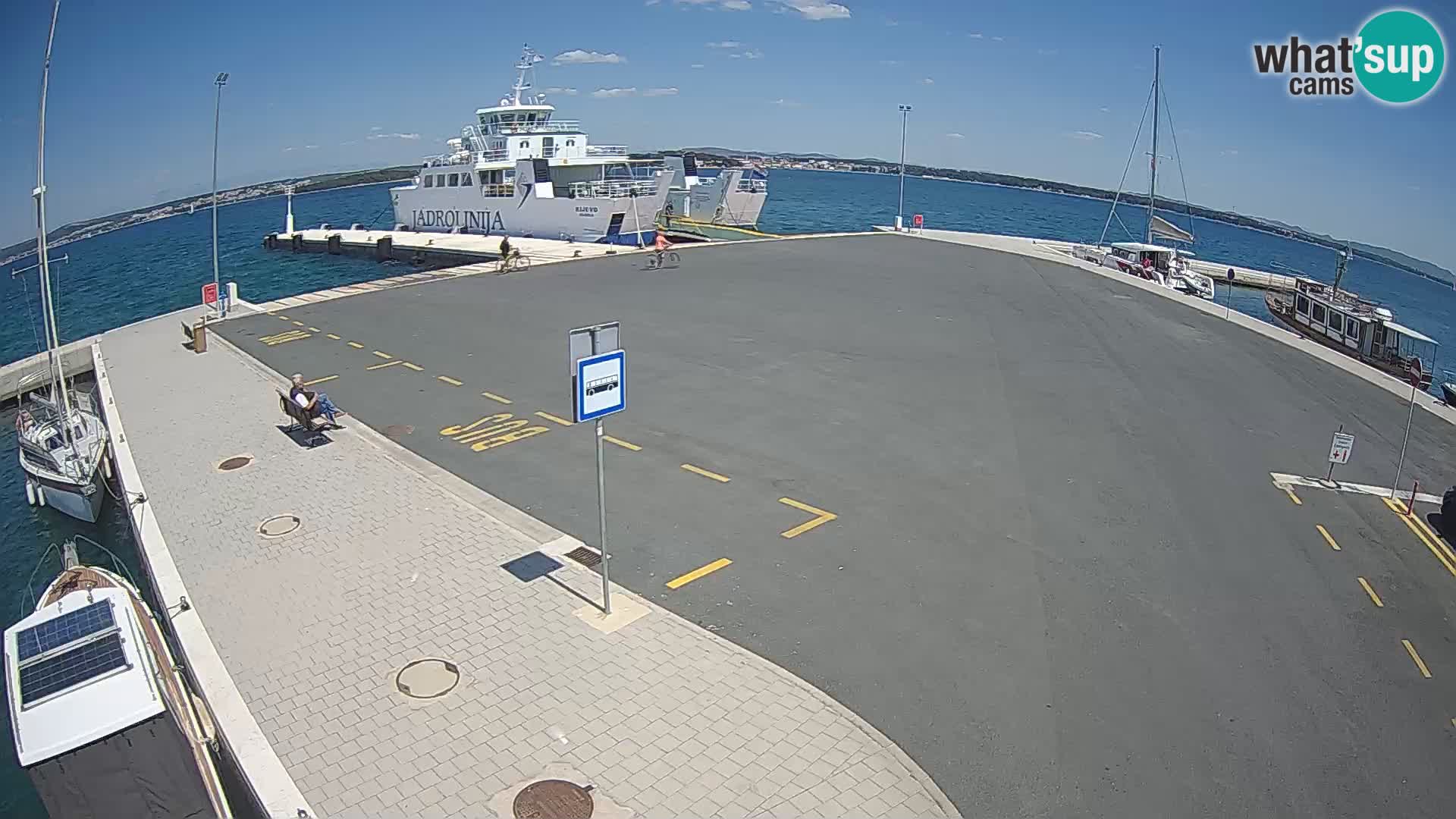 Tkon u živo – trajekt – Dalmacija