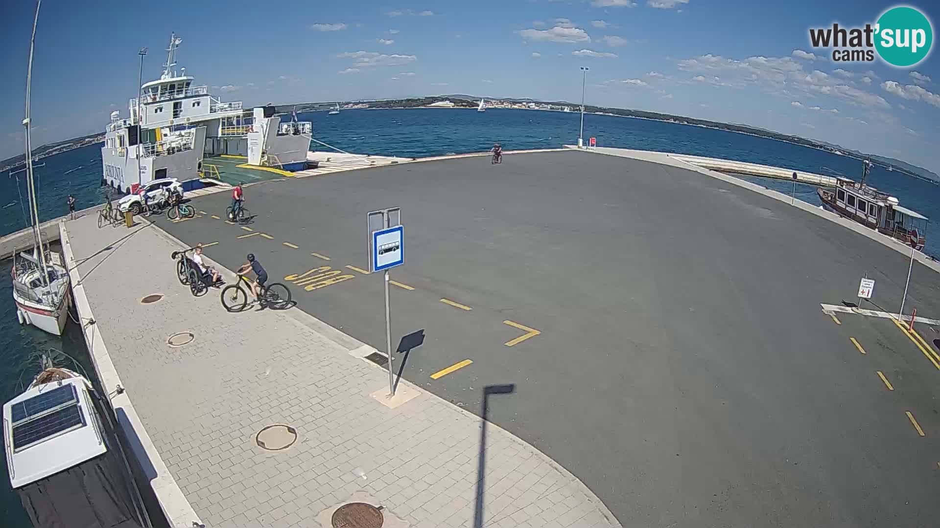 Tkon camera en vivo – Transportar – Dalmacia – Croacia