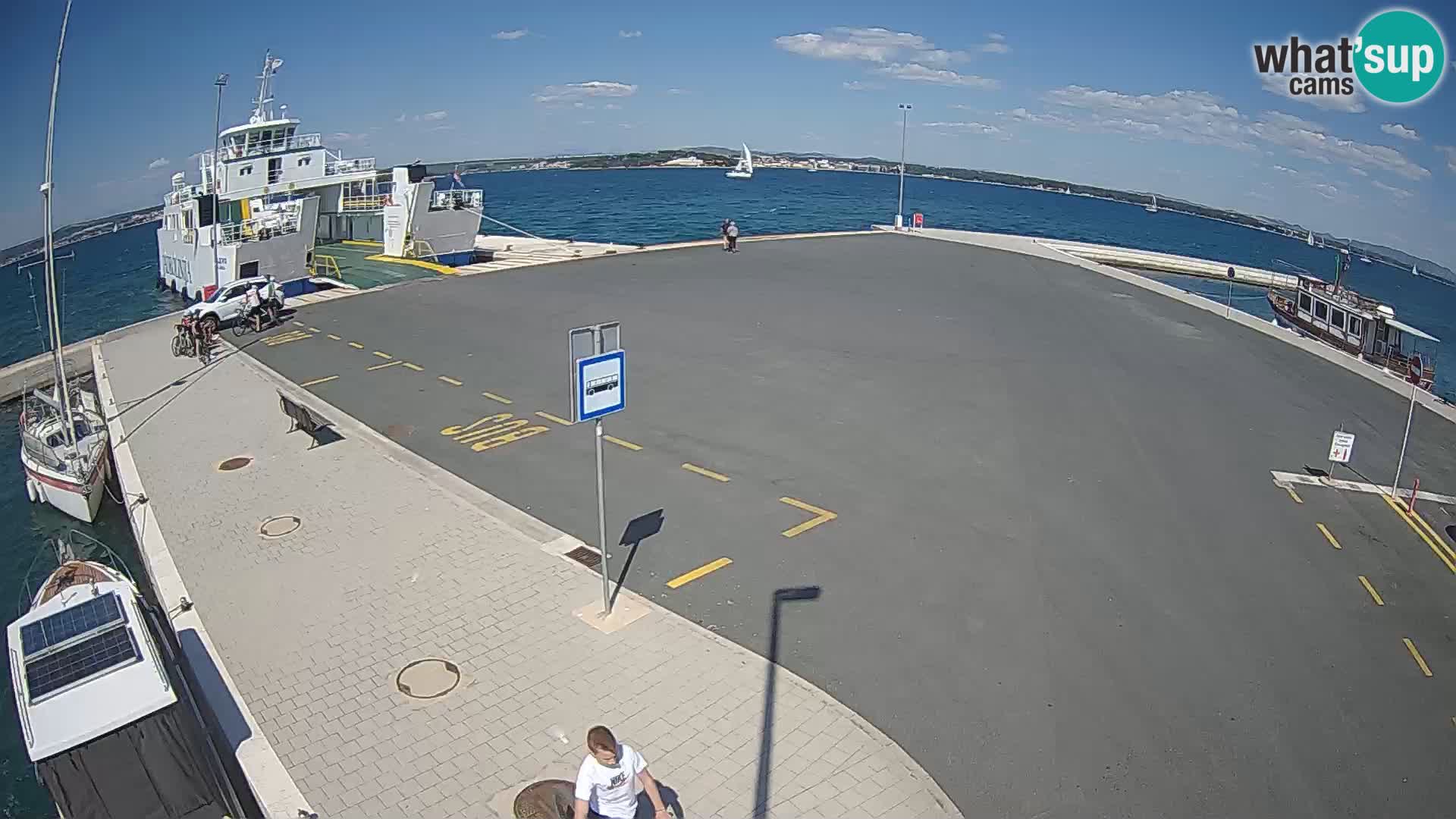 Tkon u živo – trajekt – Dalmacija