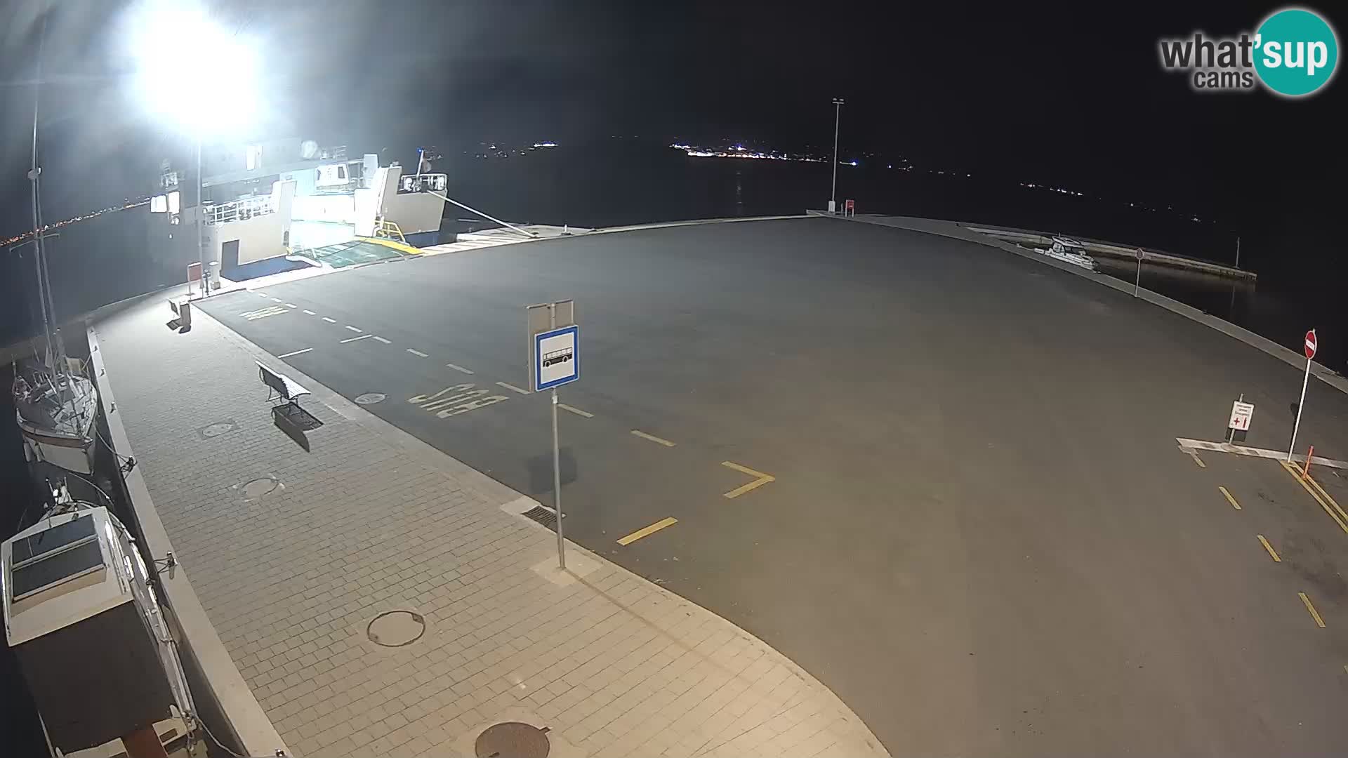 Tkon v živo – trajekt – Dalmacija – Hrvaška