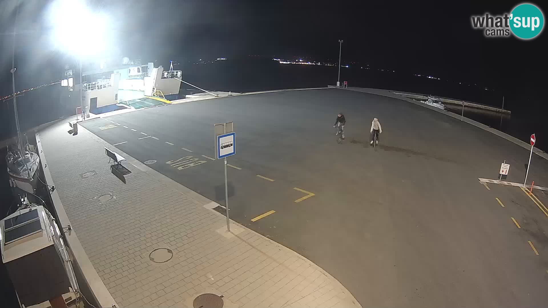 Tkon v živo – trajekt – Dalmacija – Hrvaška