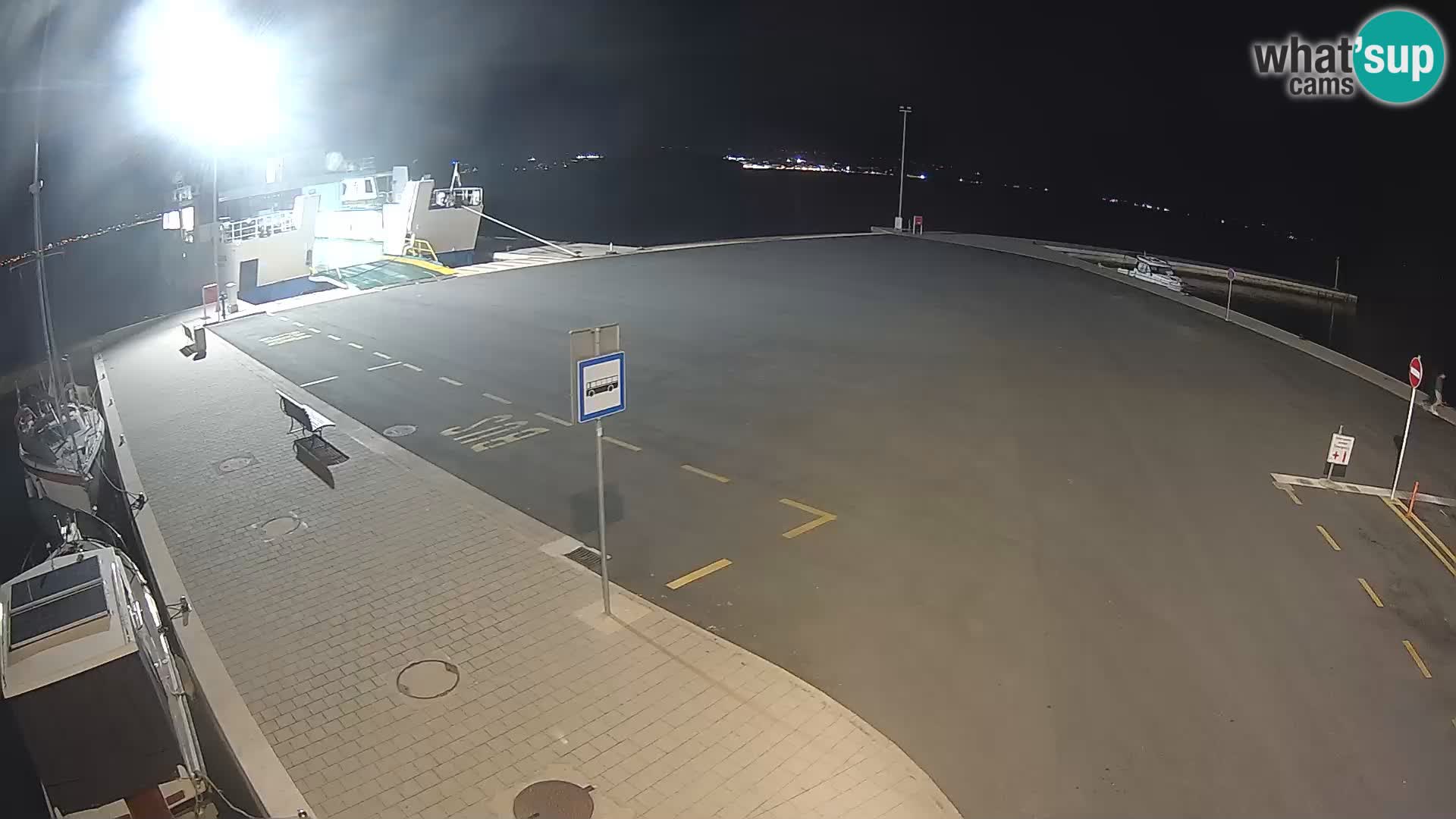 Tkon v živo – trajekt – Dalmacija – Hrvaška