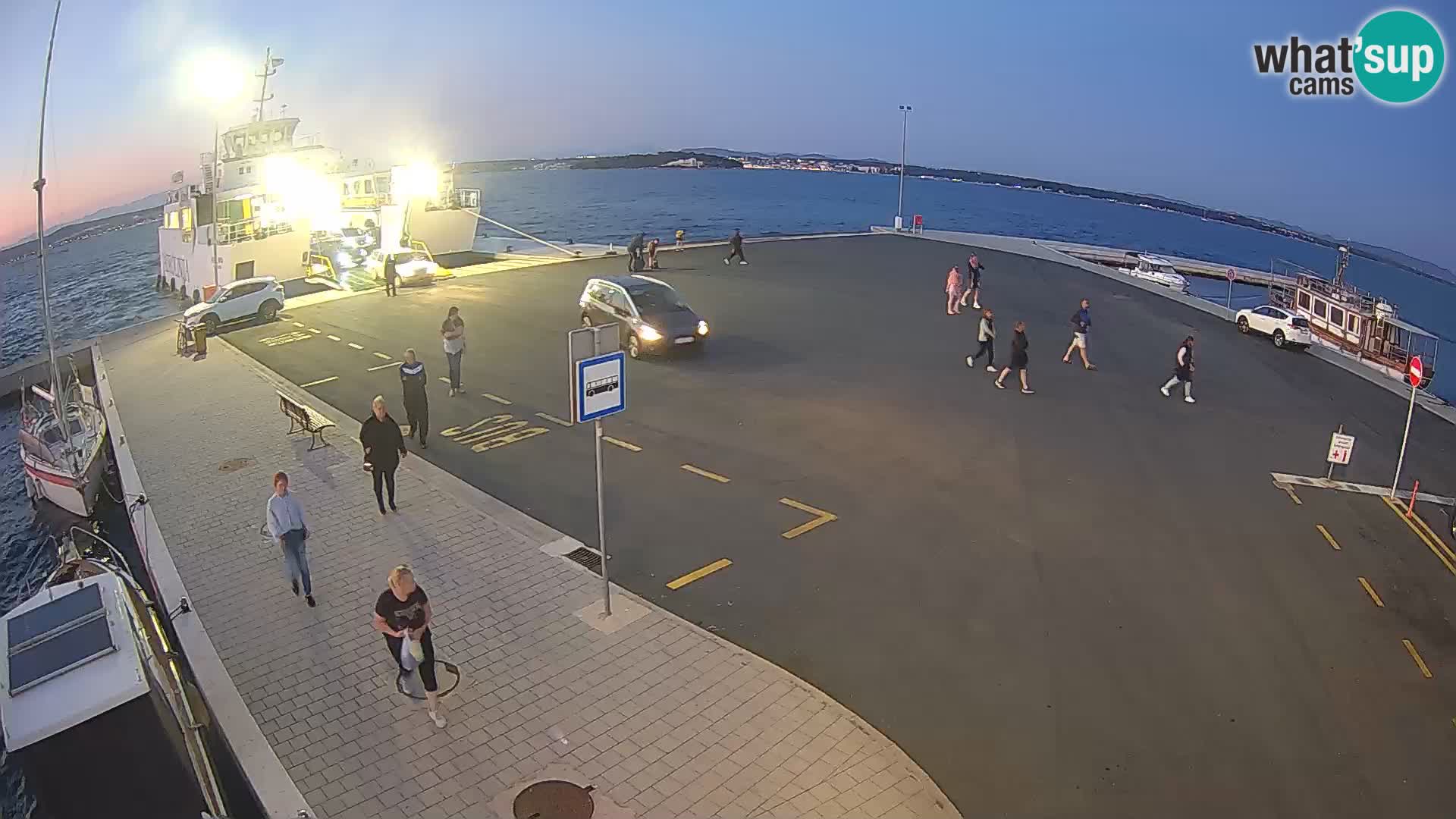 Tkon u živo – trajekt – Dalmacija