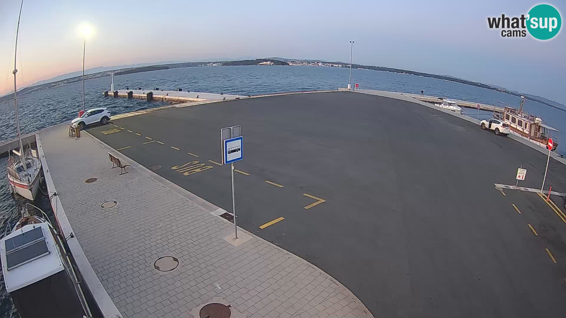 Tkon v živo – trajekt – Dalmacija – Hrvaška