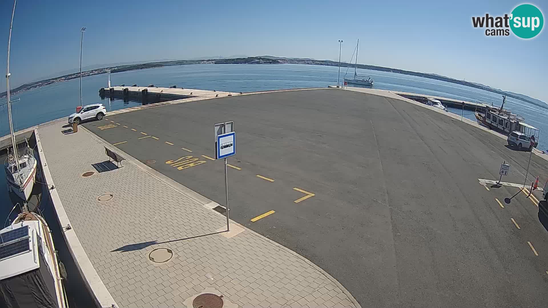 Tkon camera en vivo – Transportar – Dalmacia – Croacia