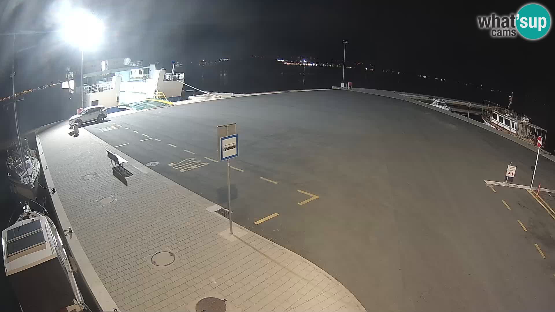Tkon v živo – trajekt – Dalmacija – Hrvaška