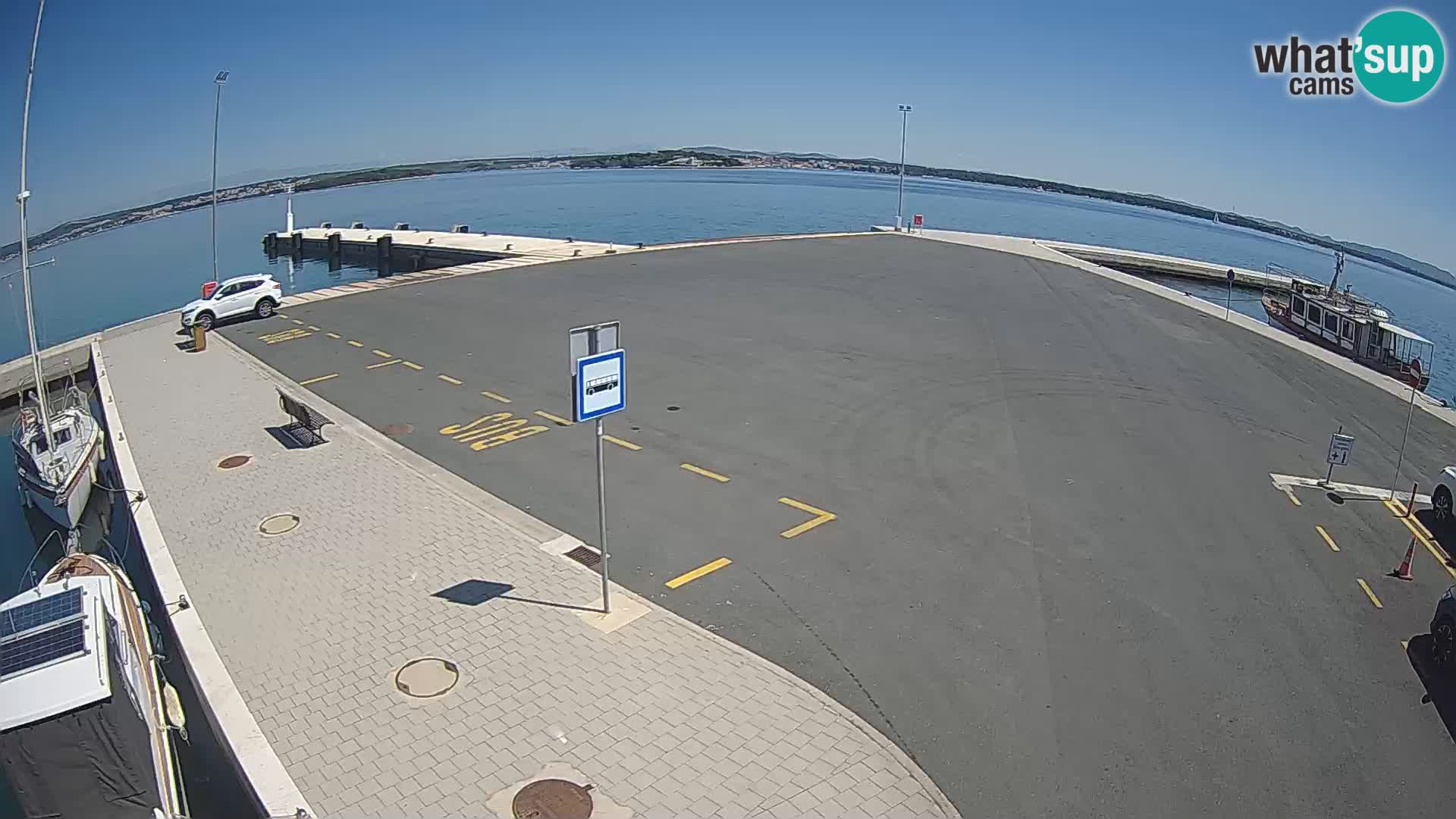 Tkon v živo – trajekt – Dalmacija – Hrvaška
