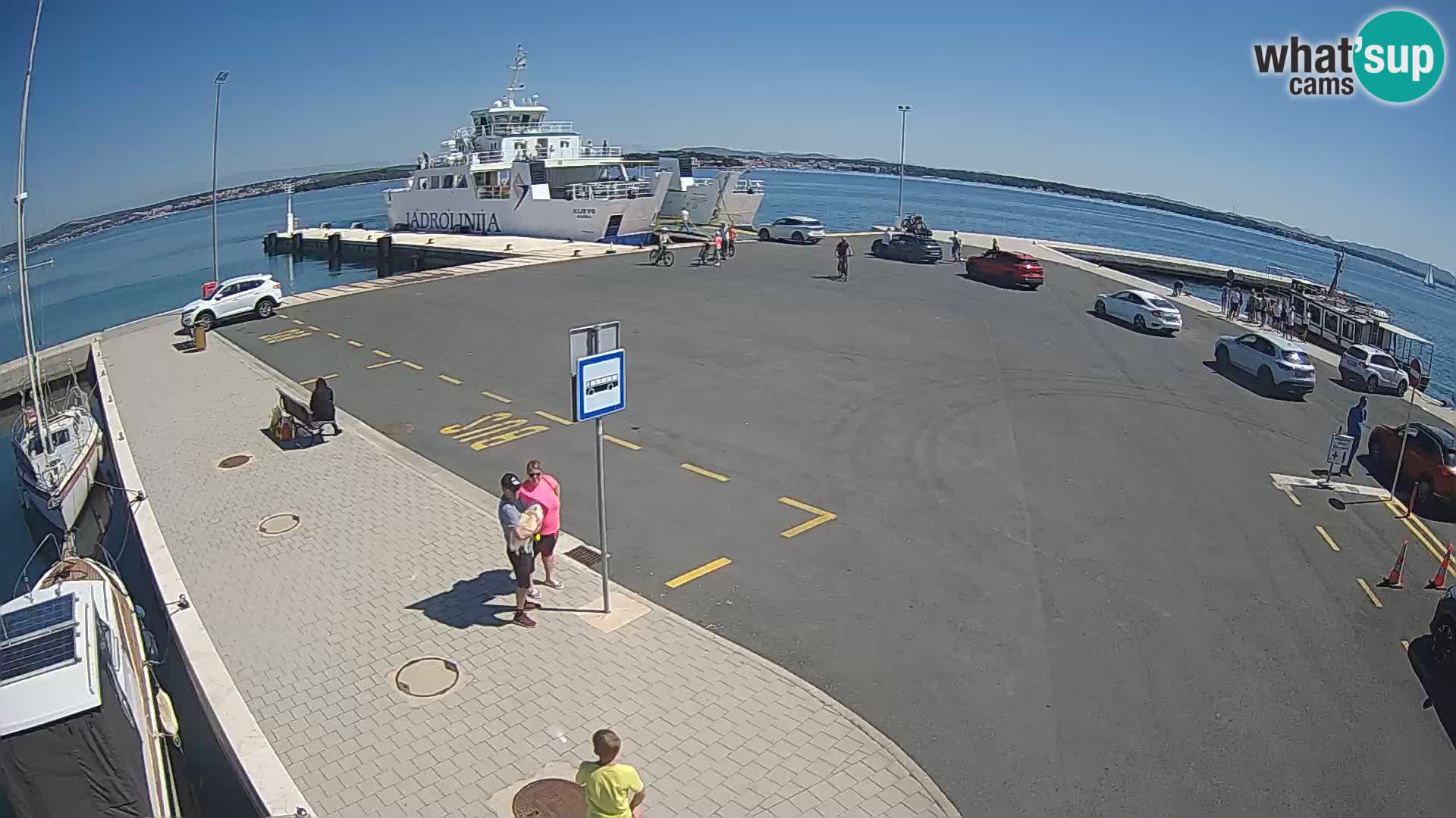 Tkon camera en vivo – Transportar – Dalmacia – Croacia