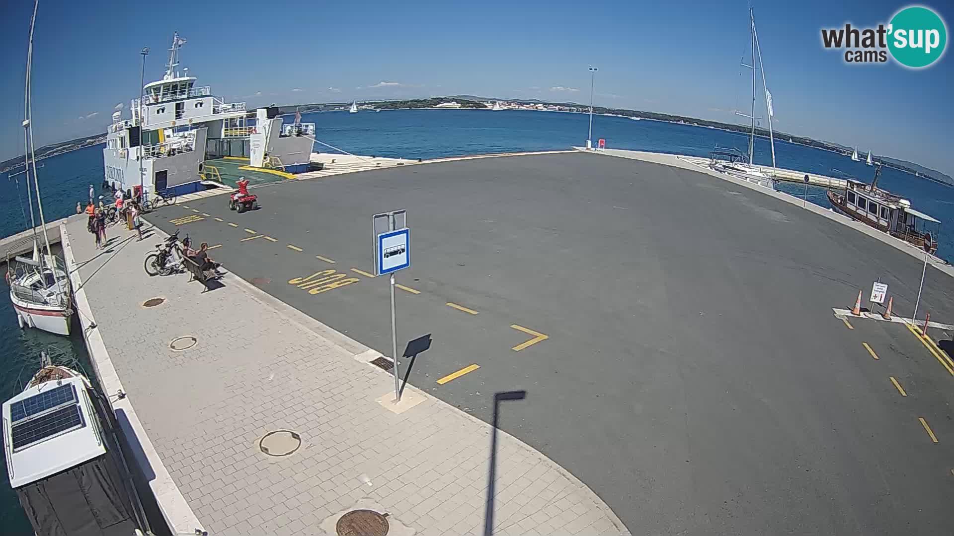 Tkon v živo – trajekt – Dalmacija – Hrvaška