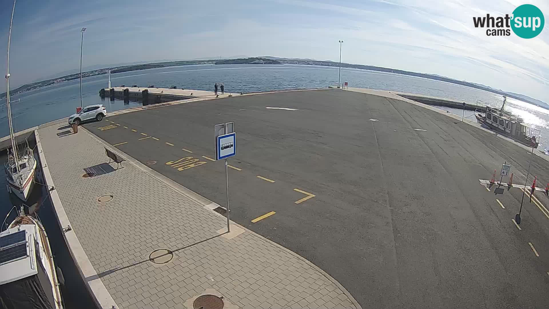 Tkon v živo – trajekt – Dalmacija – Hrvaška