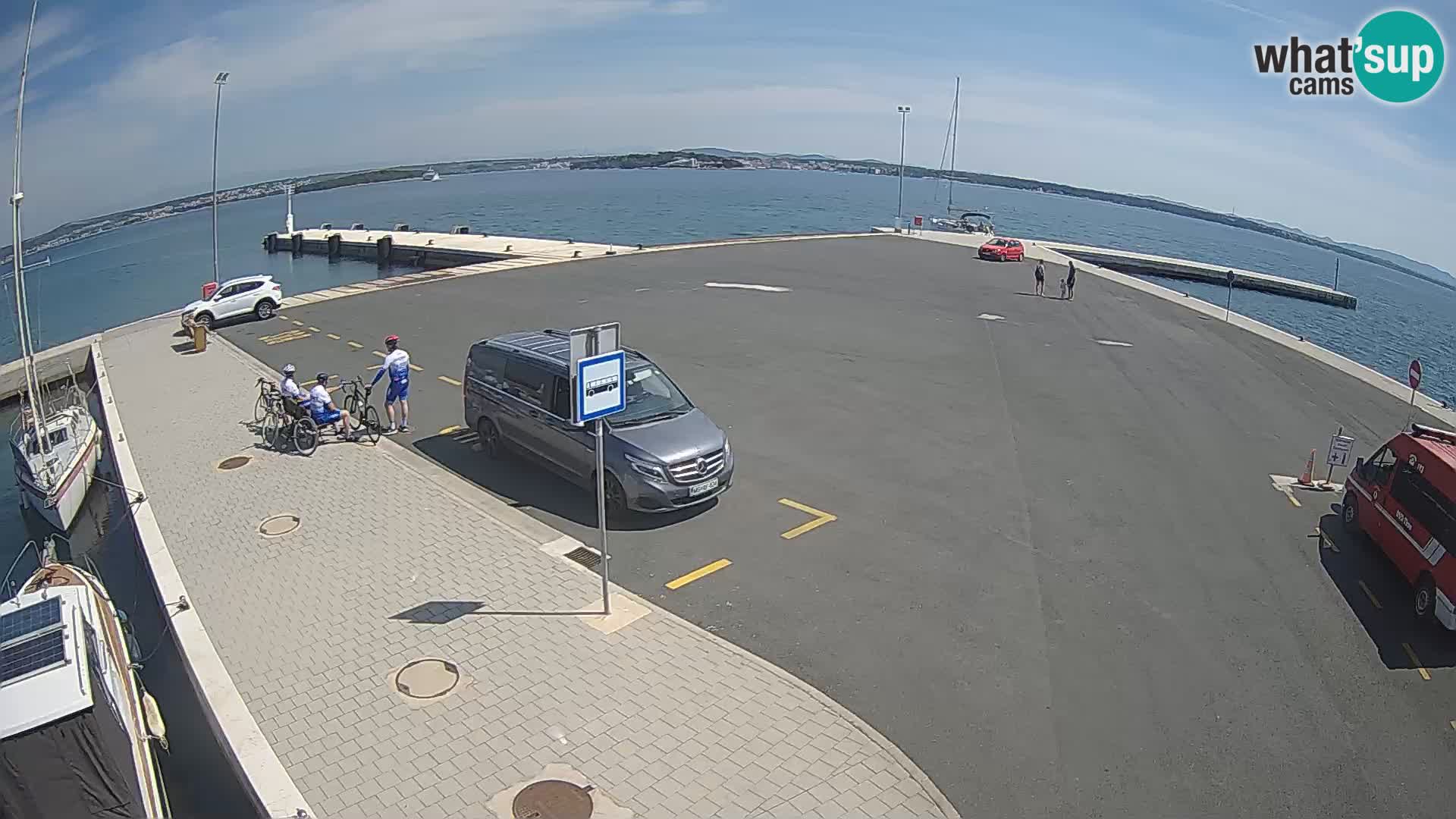 Tkon camera en vivo – Transportar – Dalmacia – Croacia