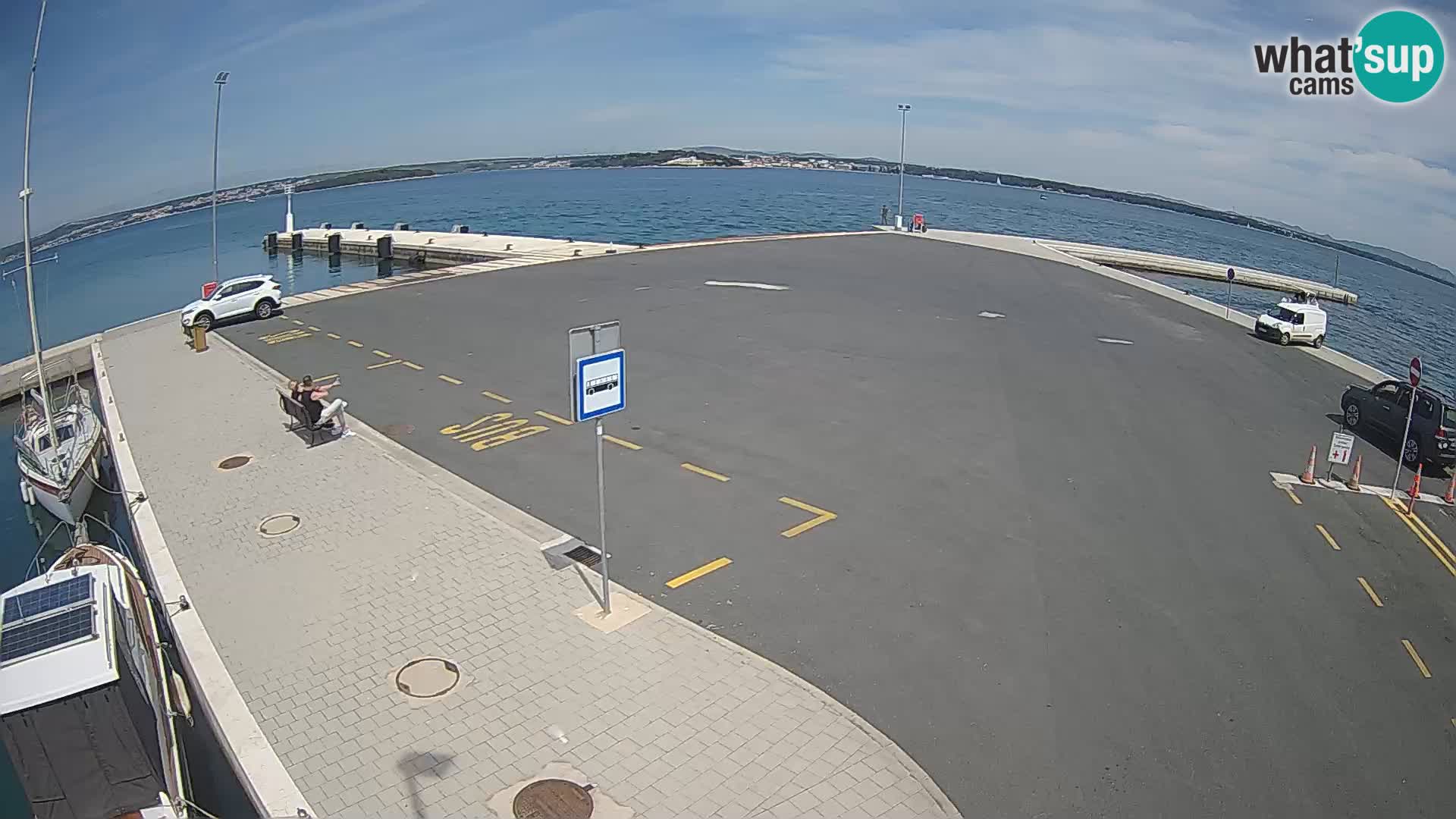 Tkon camera en vivo – Transportar – Dalmacia – Croacia