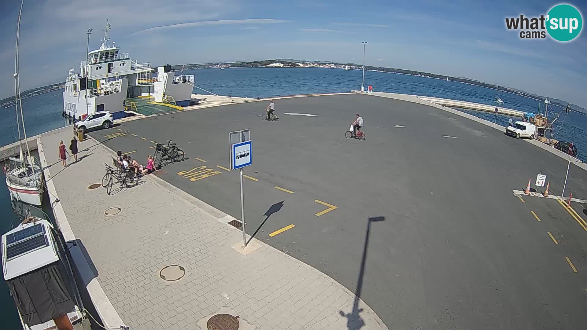 Tkon Live cam – ferry – Dalmatia – Croatia