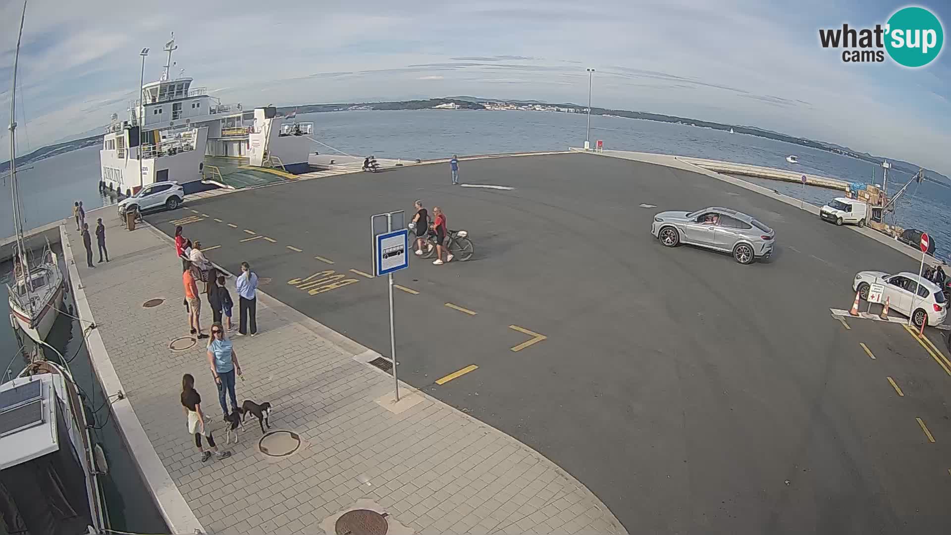Tkon v živo – trajekt – Dalmacija – Hrvaška