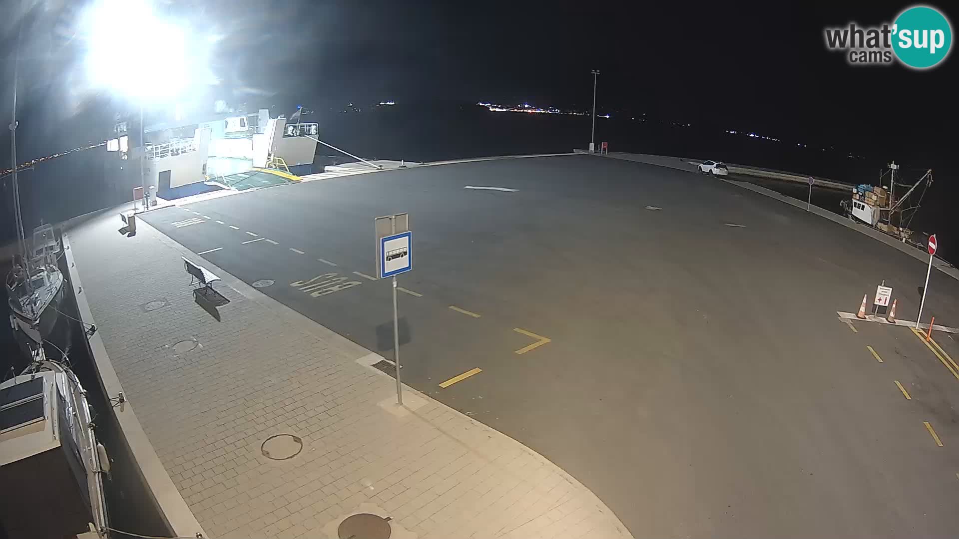 Tkon v živo – trajekt – Dalmacija – Hrvaška