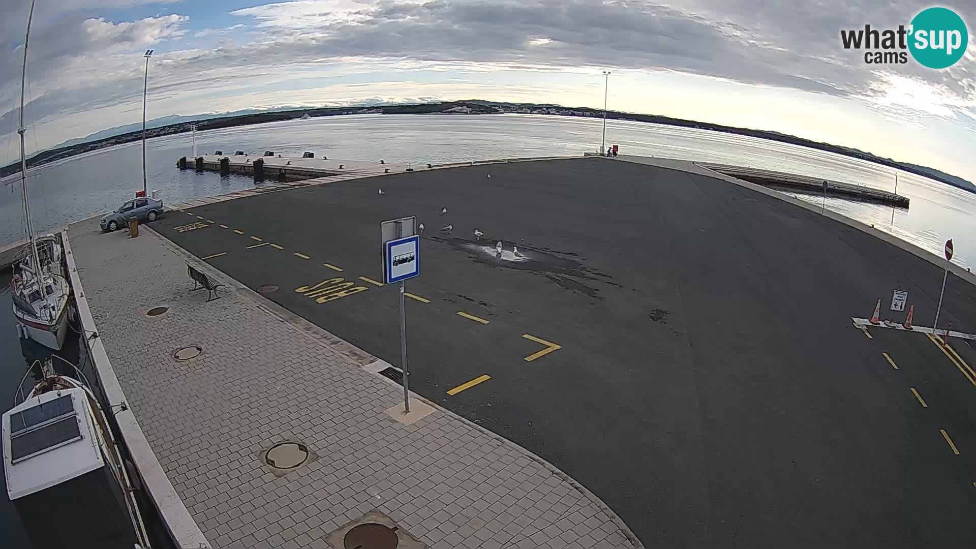Tkon Live cam – ferry – Dalmatie – Croatie