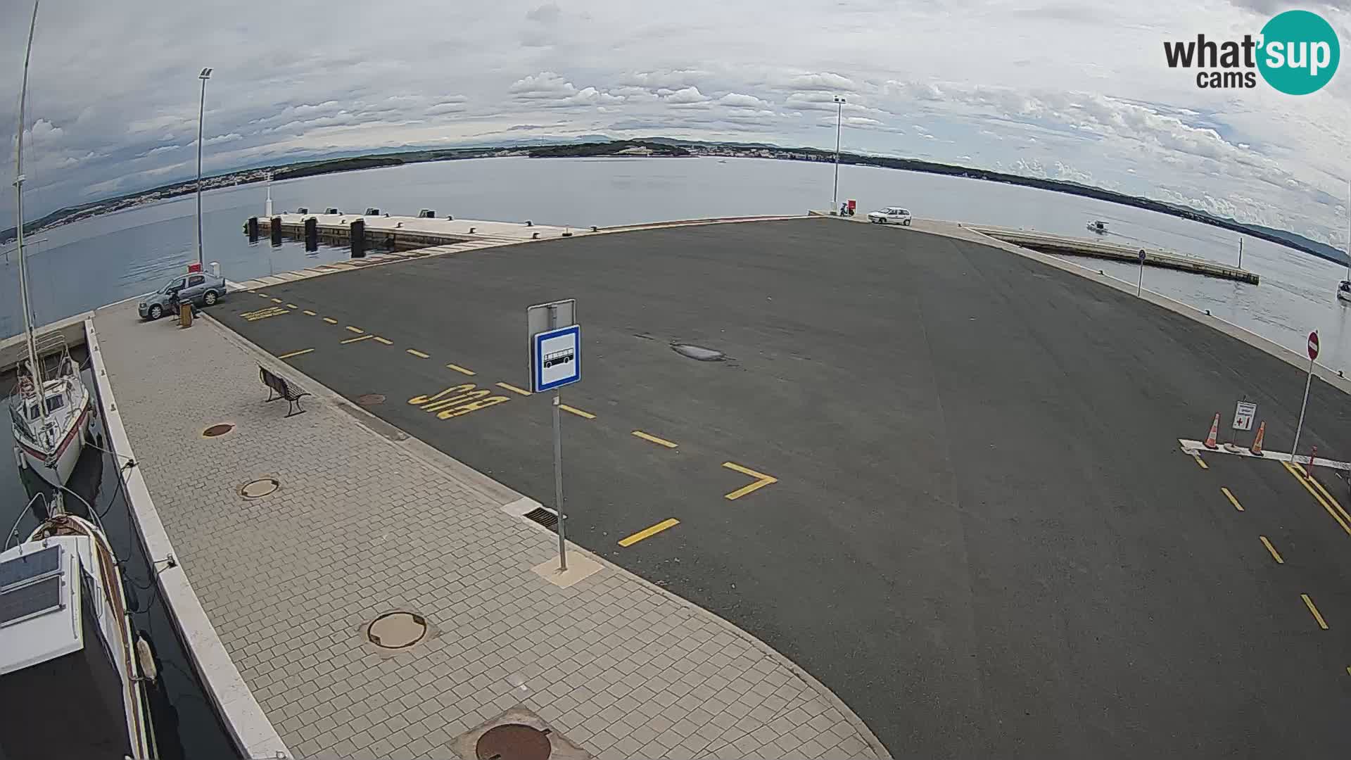 Tkon v živo – trajekt – Dalmacija – Hrvaška