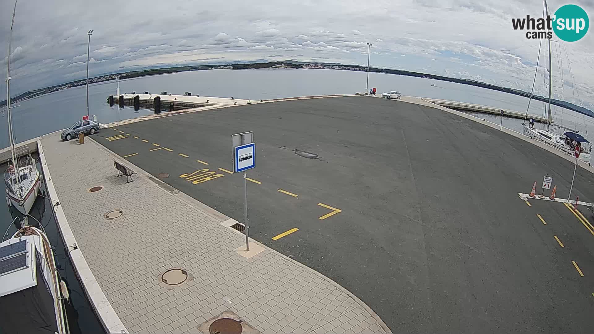 Tkon v živo – trajekt – Dalmacija – Hrvaška