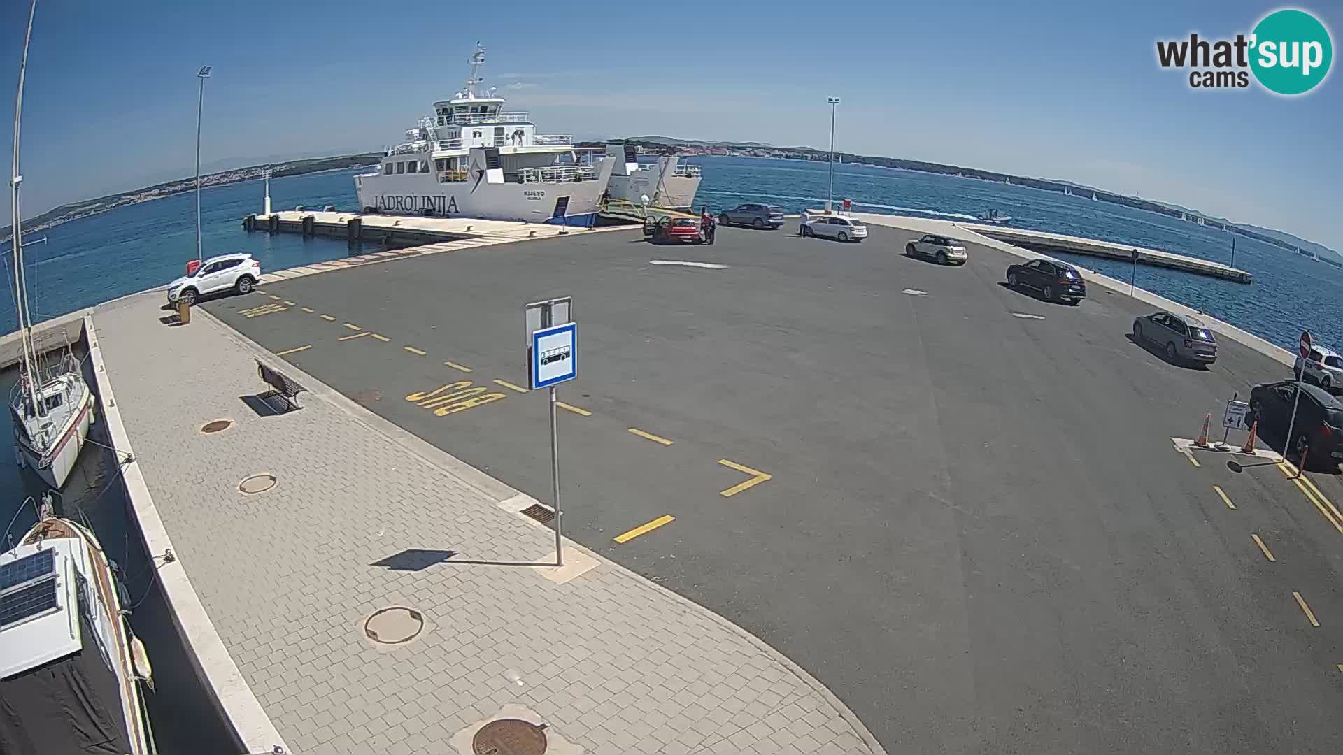 Tkon u živo – trajekt – Dalmacija