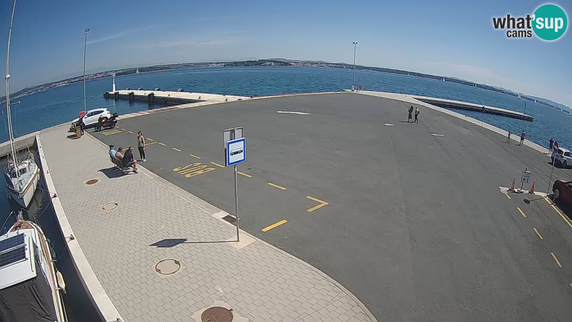 Tkon v živo – trajekt – Dalmacija – Hrvaška