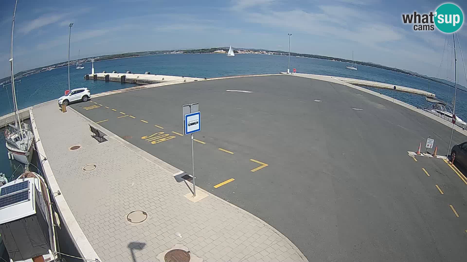 Tkon Live cam – traghetto – Dalmazia – Croazia