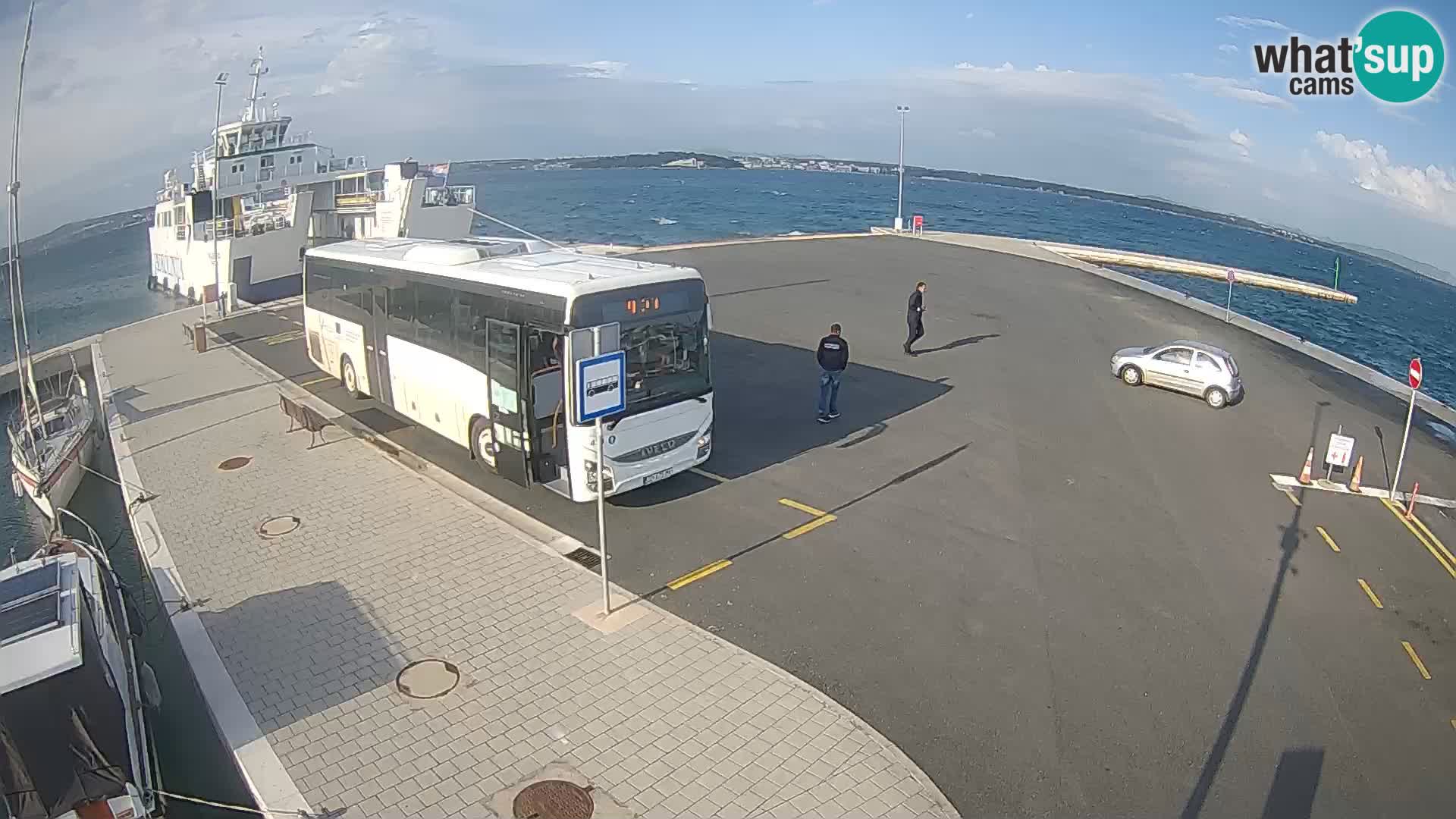 Tkon u živo – trajekt – Dalmacija