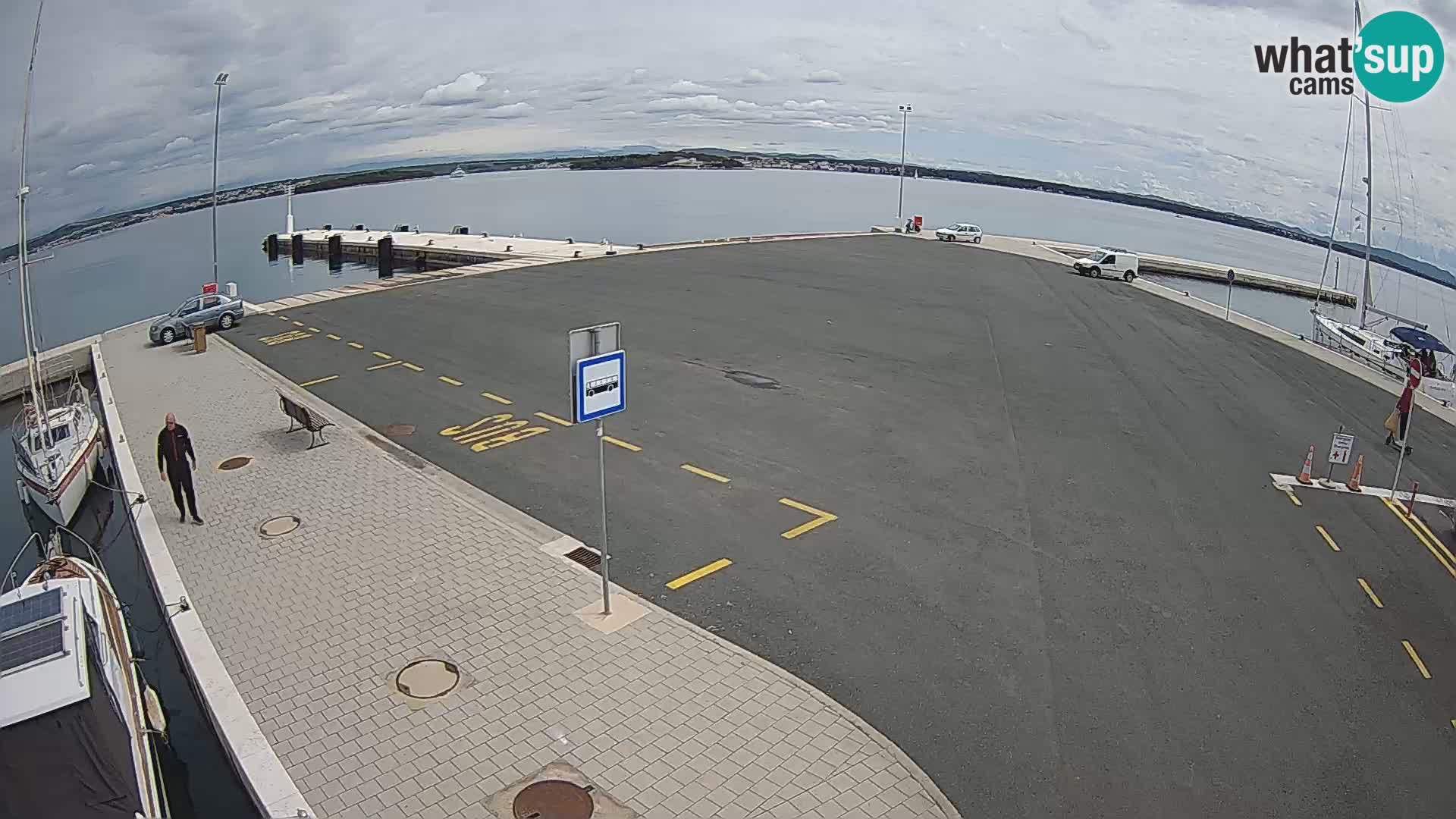 Tkon camera en vivo – Transportar – Dalmacia – Croacia