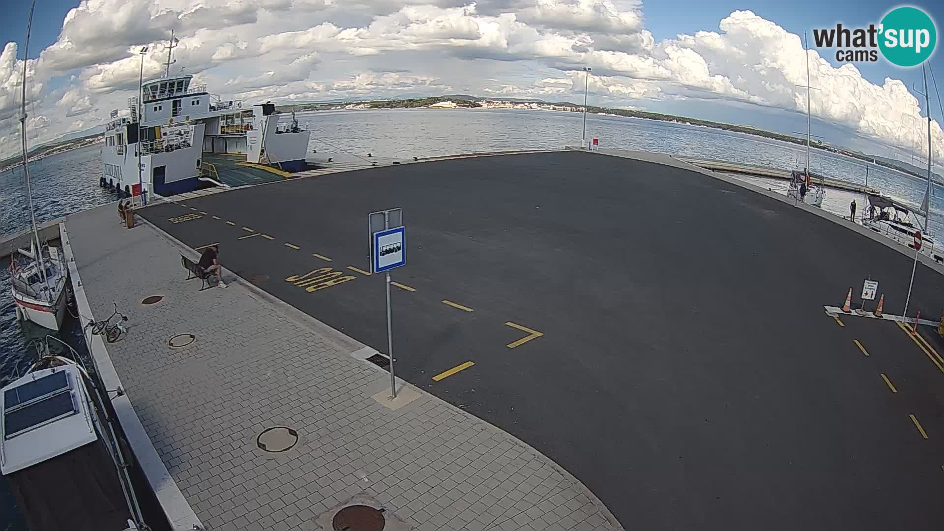 Tkon v živo – trajekt – Dalmacija – Hrvaška