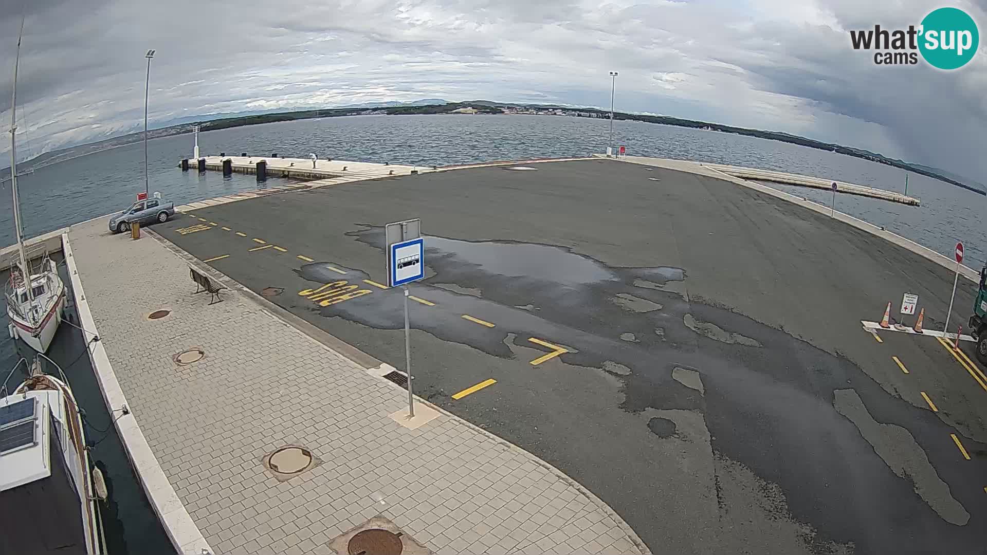 Tkon v živo – trajekt – Dalmacija – Hrvaška
