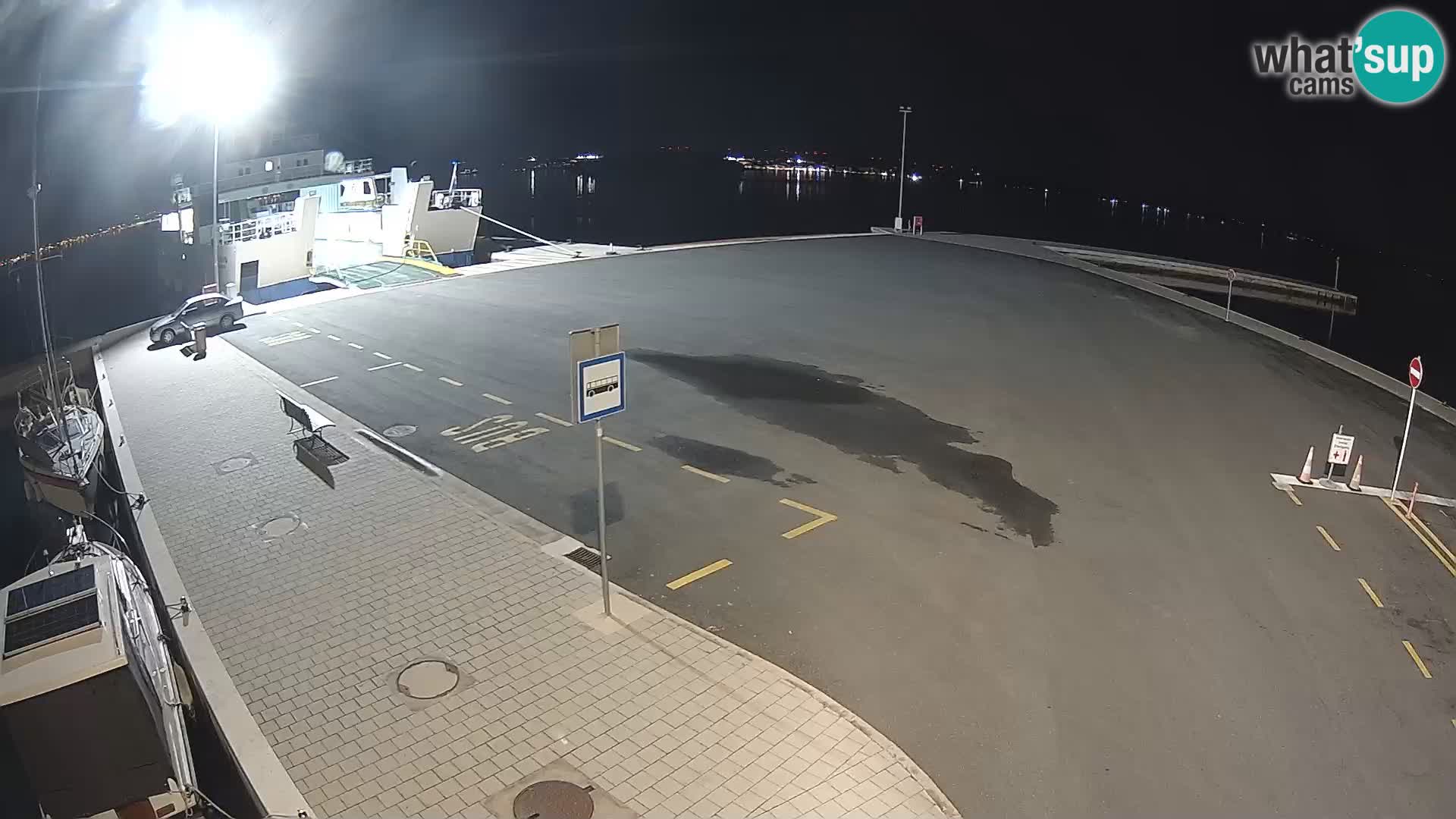 Tkon v živo – trajekt – Dalmacija – Hrvaška