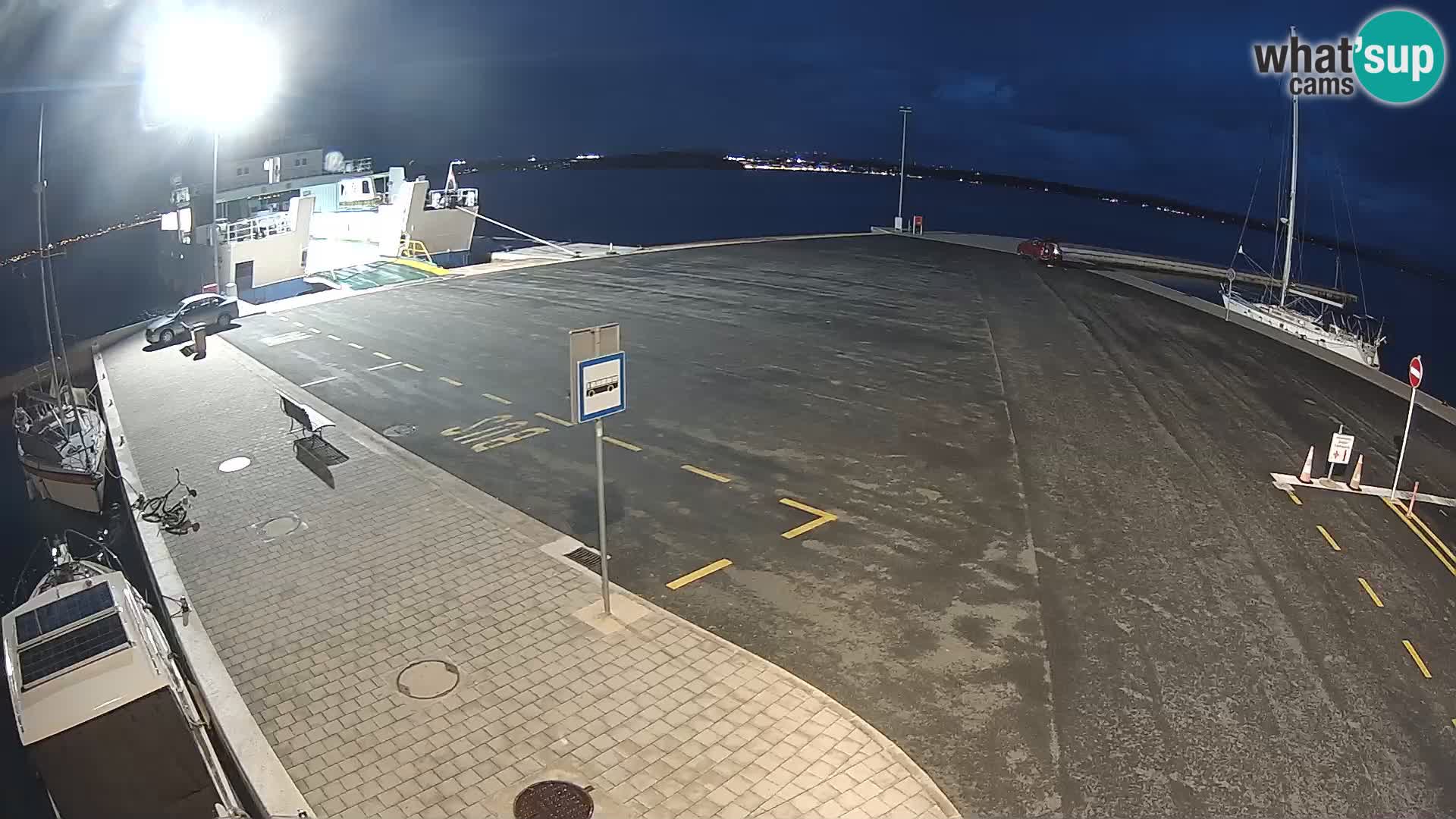Tkon v živo – trajekt – Dalmacija – Hrvaška