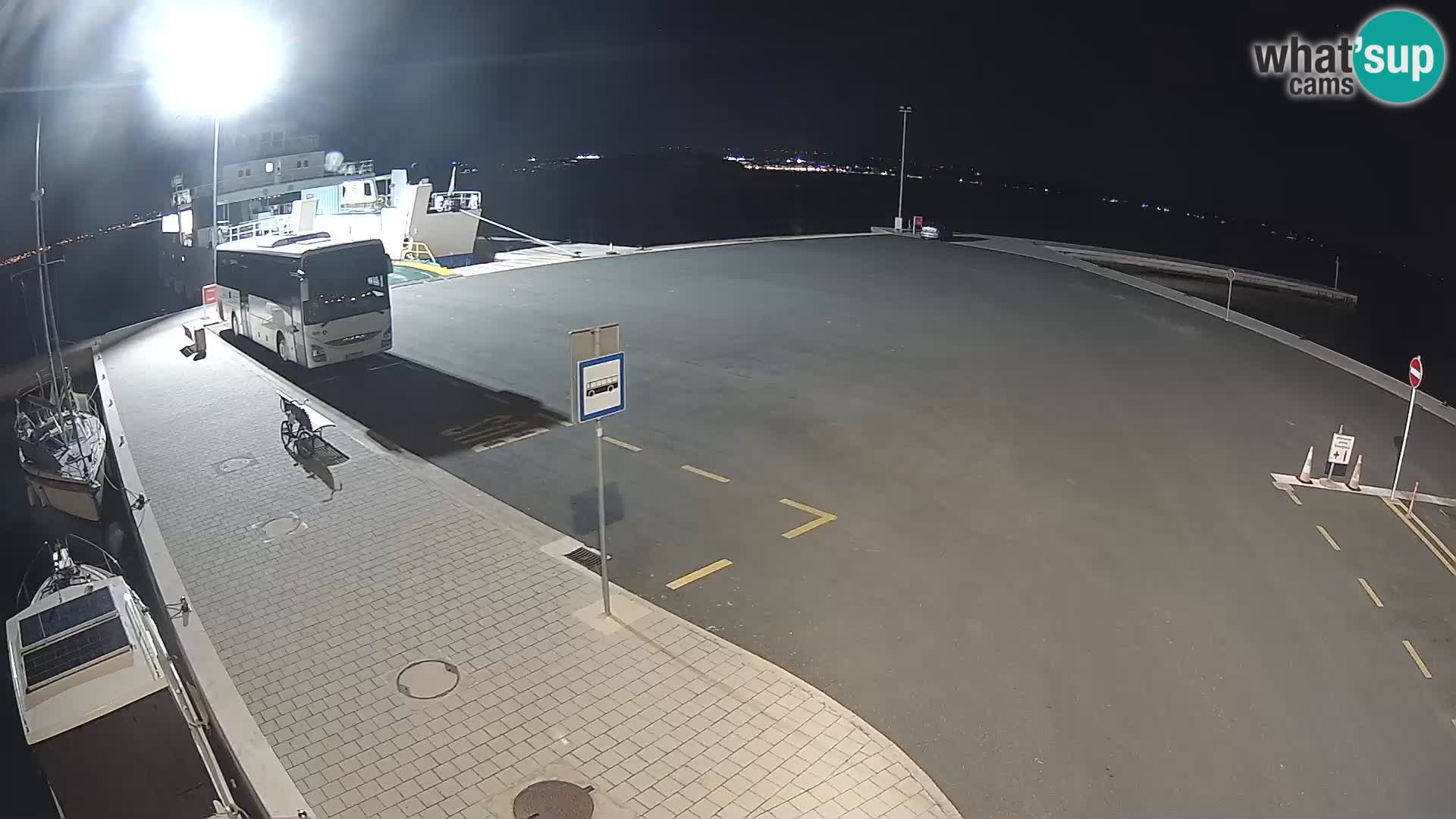 Tkon v živo – trajekt – Dalmacija – Hrvaška