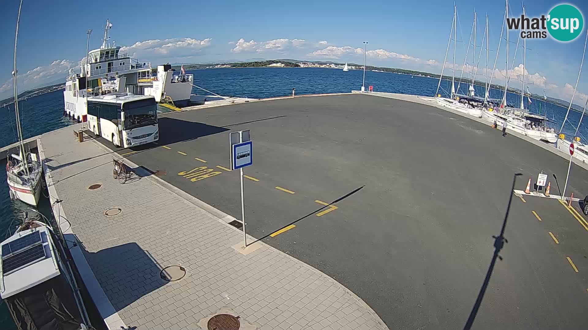 Tkon Live cam – ferry – Dalmatia – Croatia
