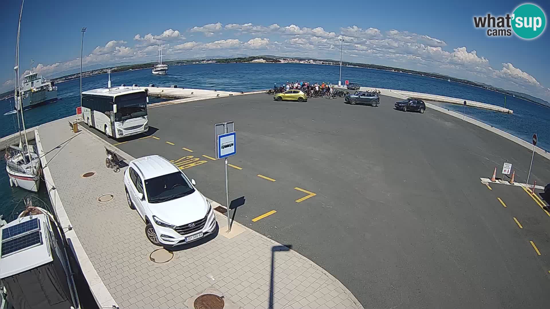 Tkon camera en vivo – Transportar – Dalmacia – Croacia