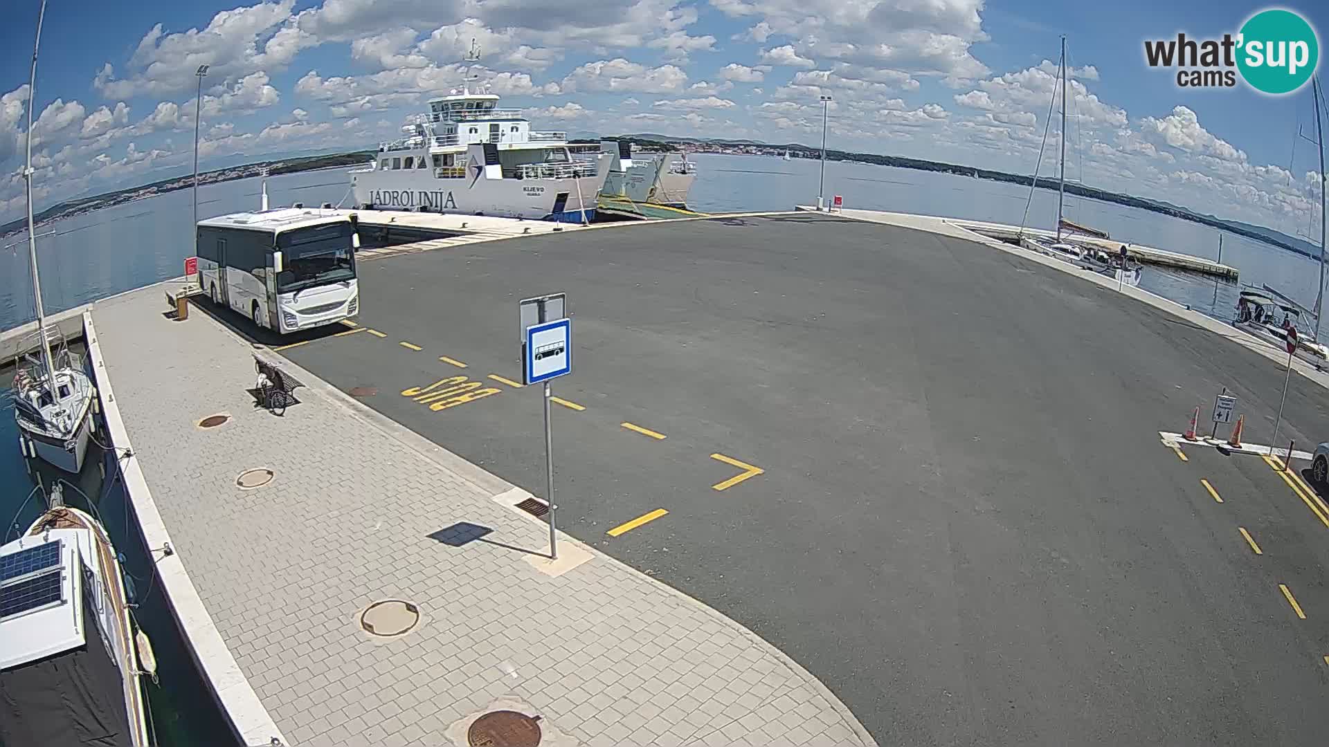 Tkon camera en vivo – Transportar – Dalmacia – Croacia