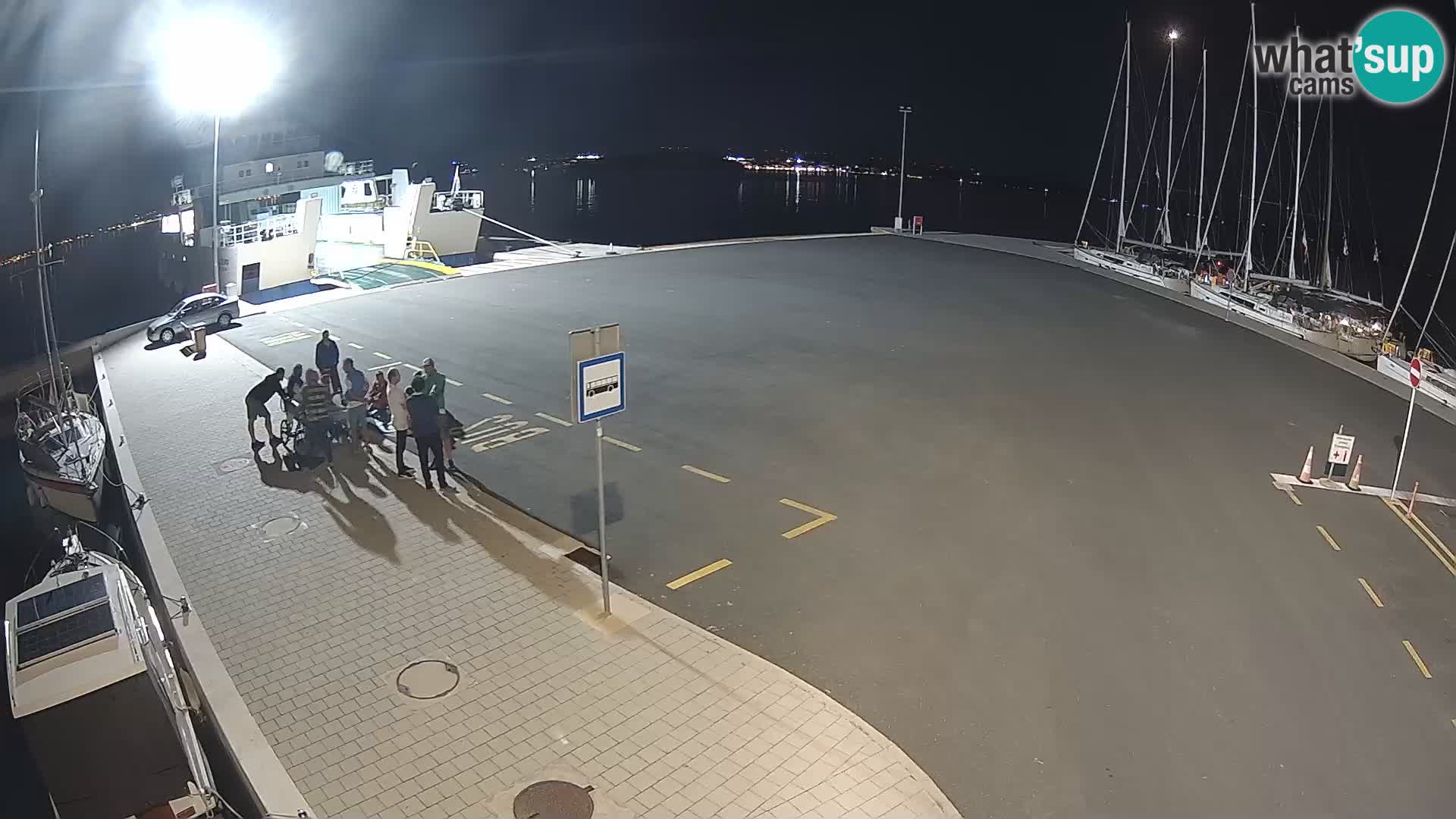 Tkon v živo – trajekt – Dalmacija – Hrvaška