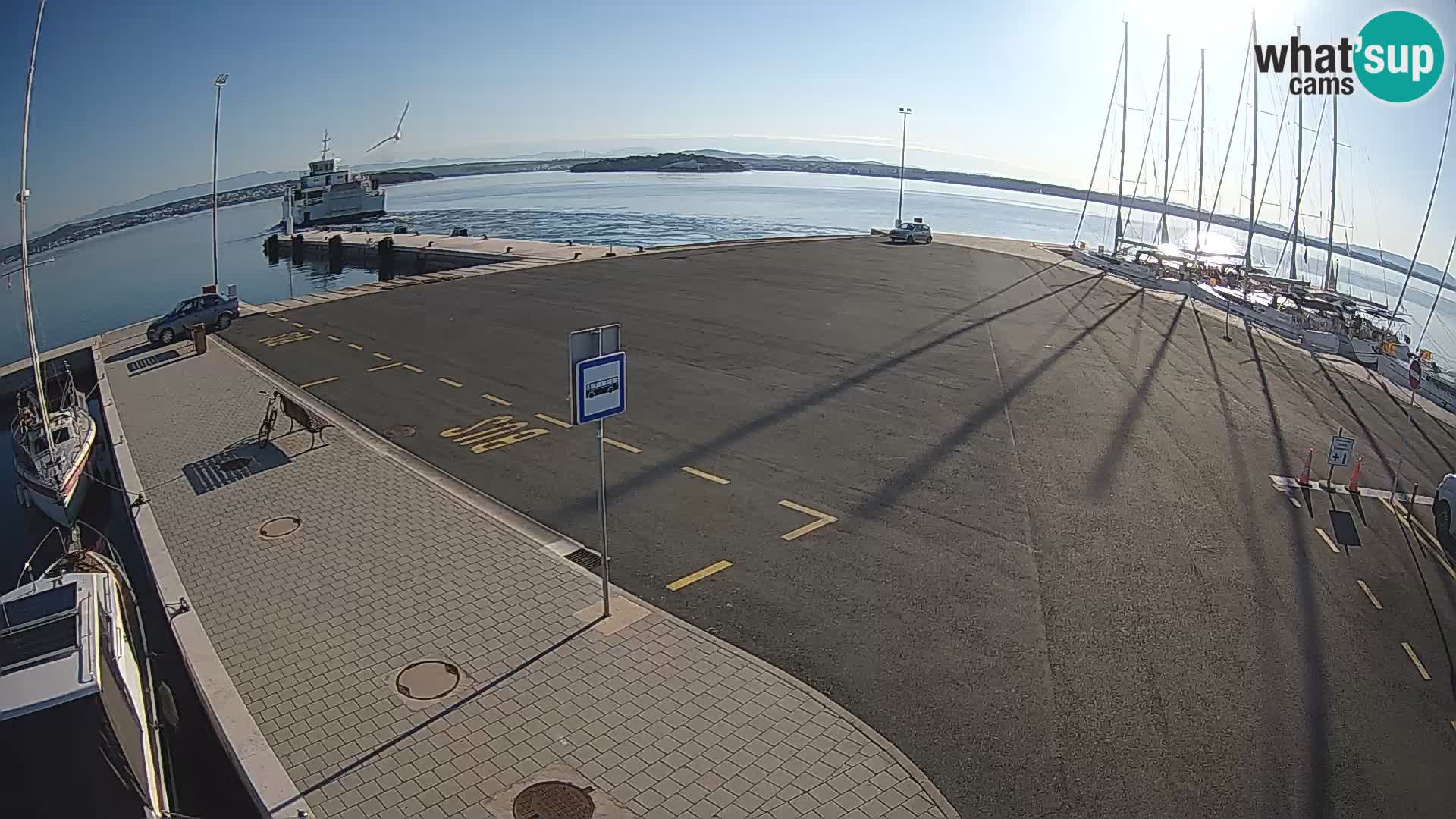 Tkon camera en vivo – Transportar – Dalmacia – Croacia