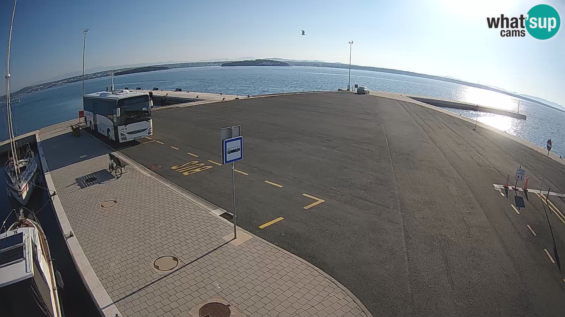 Tkon camera en vivo – Transportar – Dalmacia – Croacia