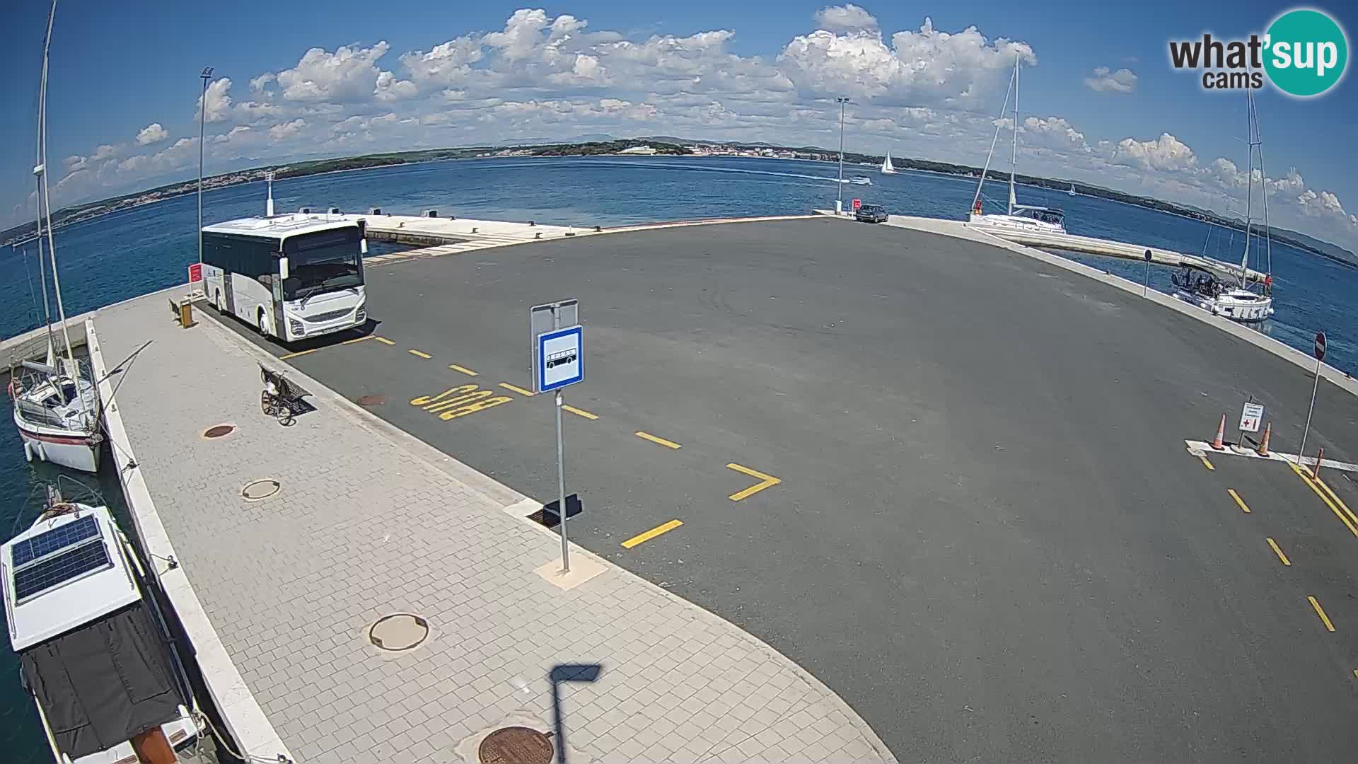 Tkon u živo – trajekt – Dalmacija
