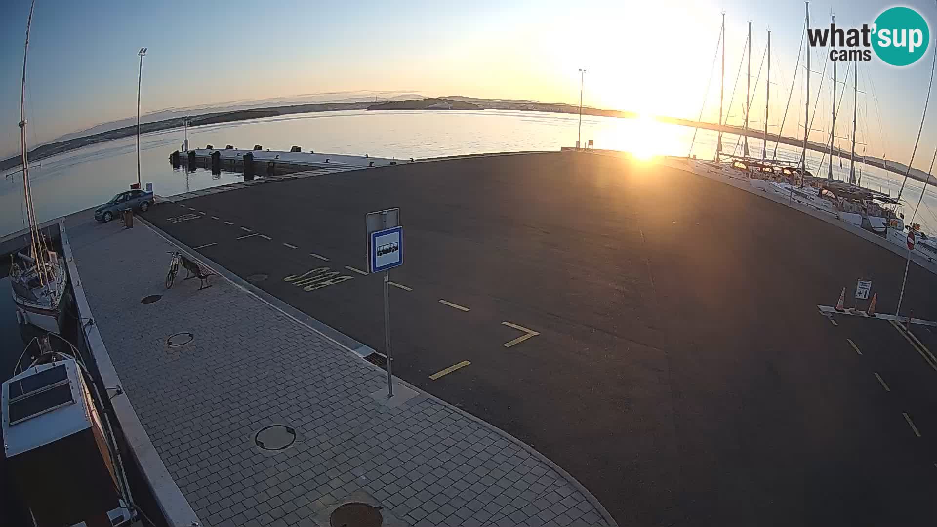 Tkon v živo – trajekt – Dalmacija – Hrvaška