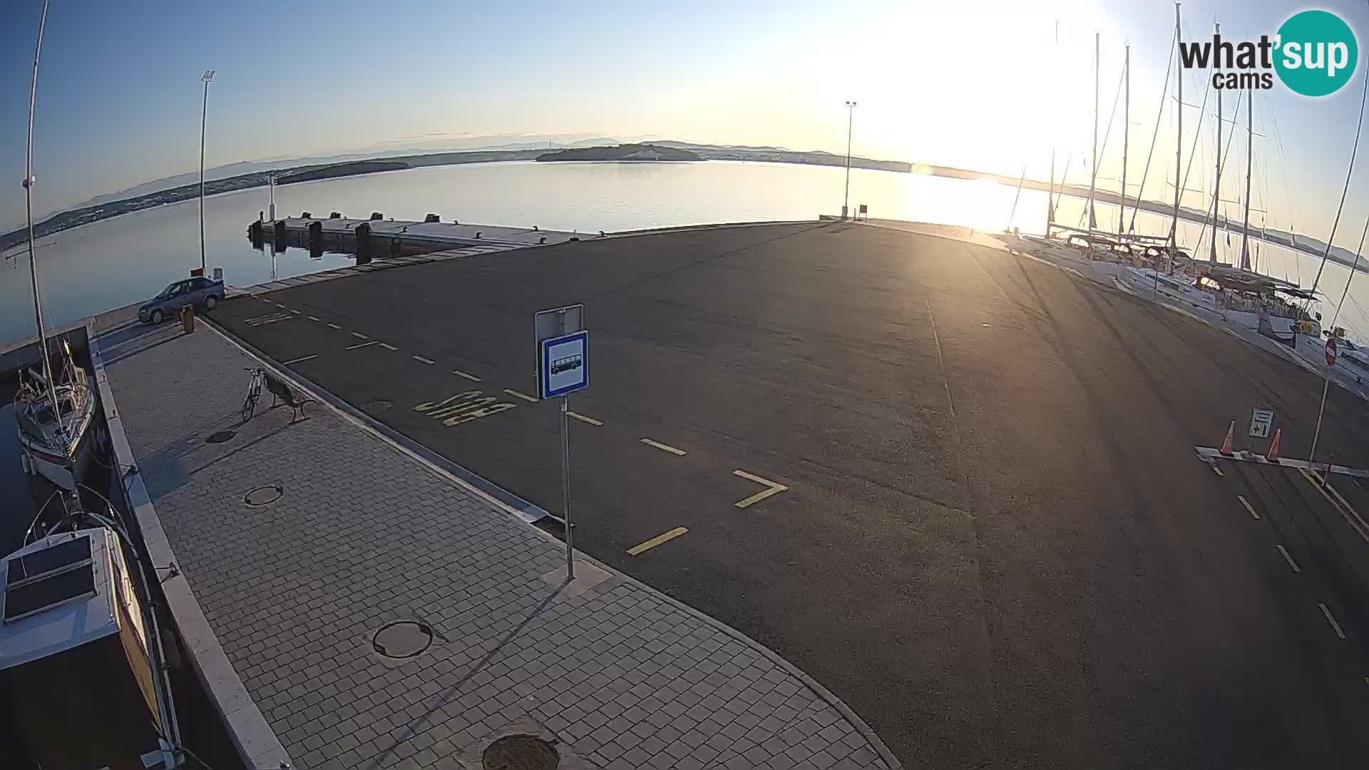 Tkon Live cam – ferry – Dalmatia – Croatia